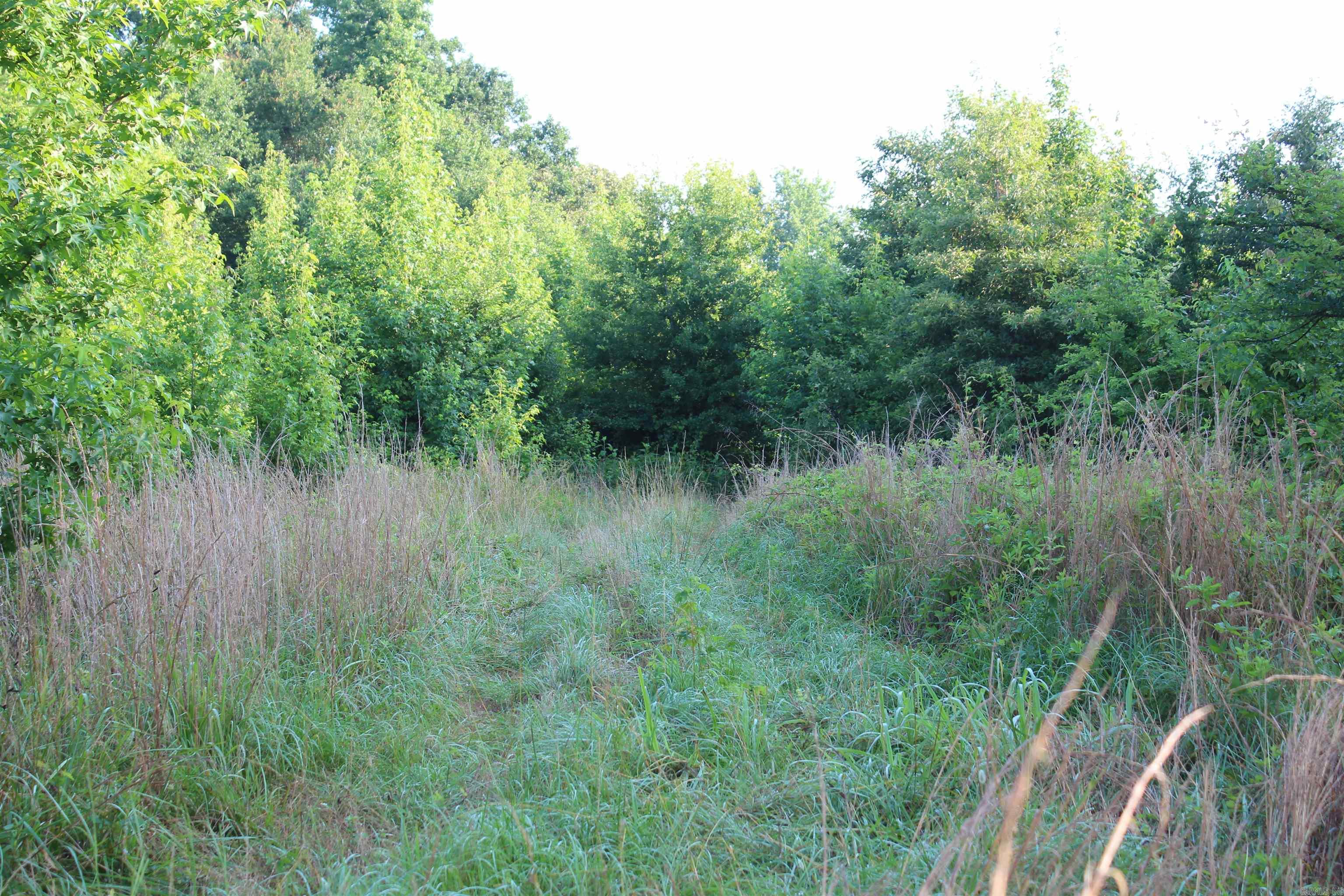 000 197  New Blaine, AR