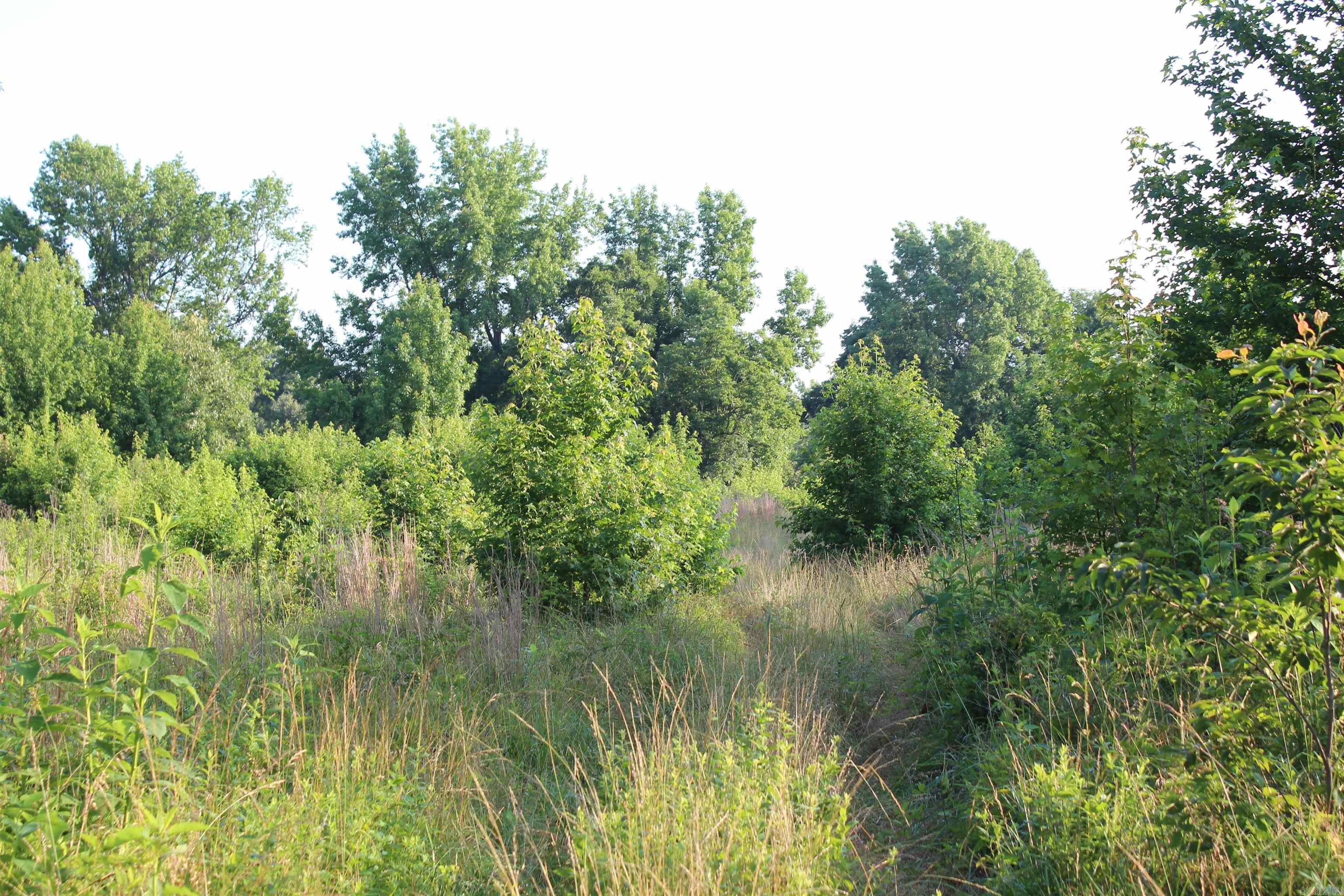 000 197  New Blaine, AR