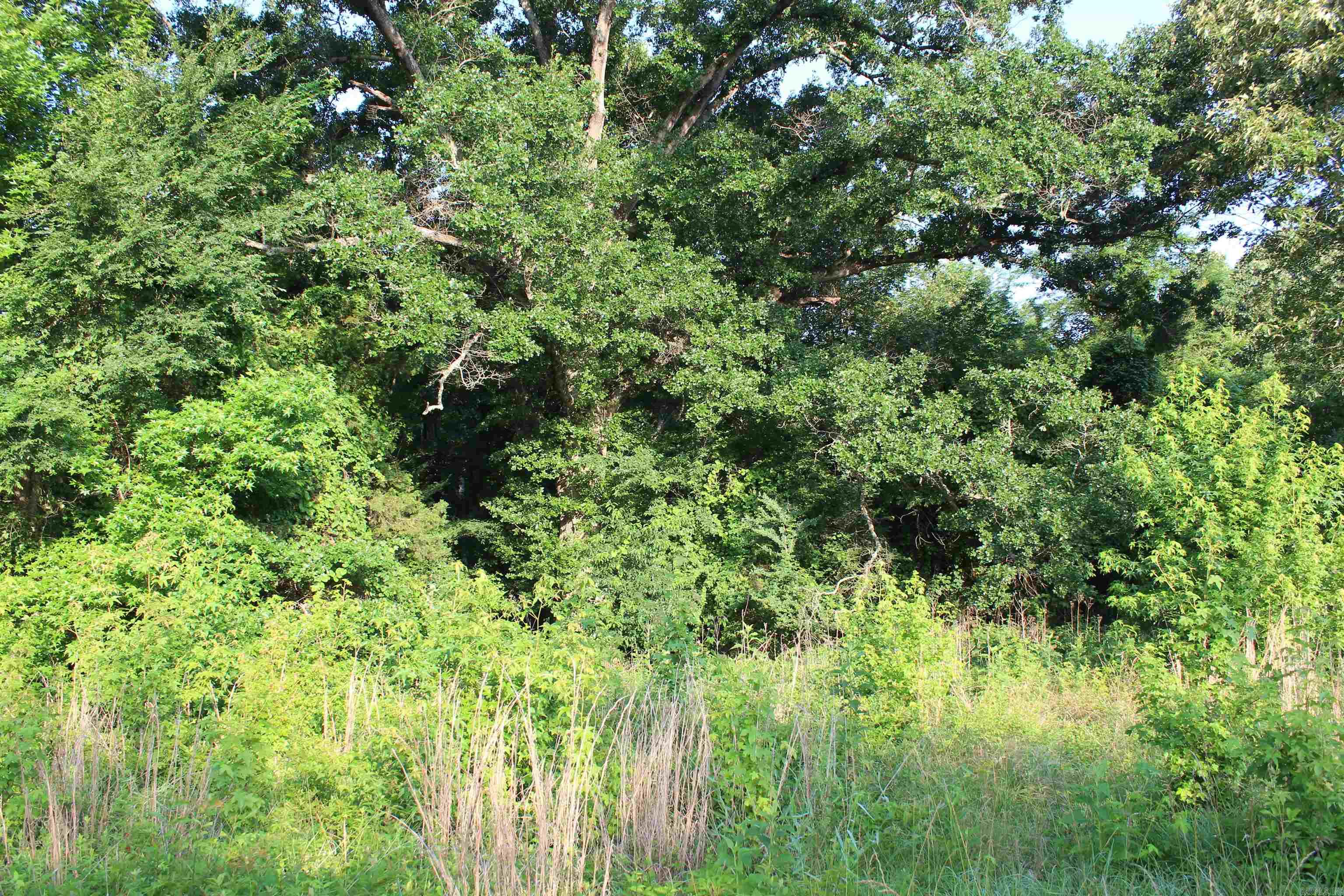 000 197  New Blaine, AR