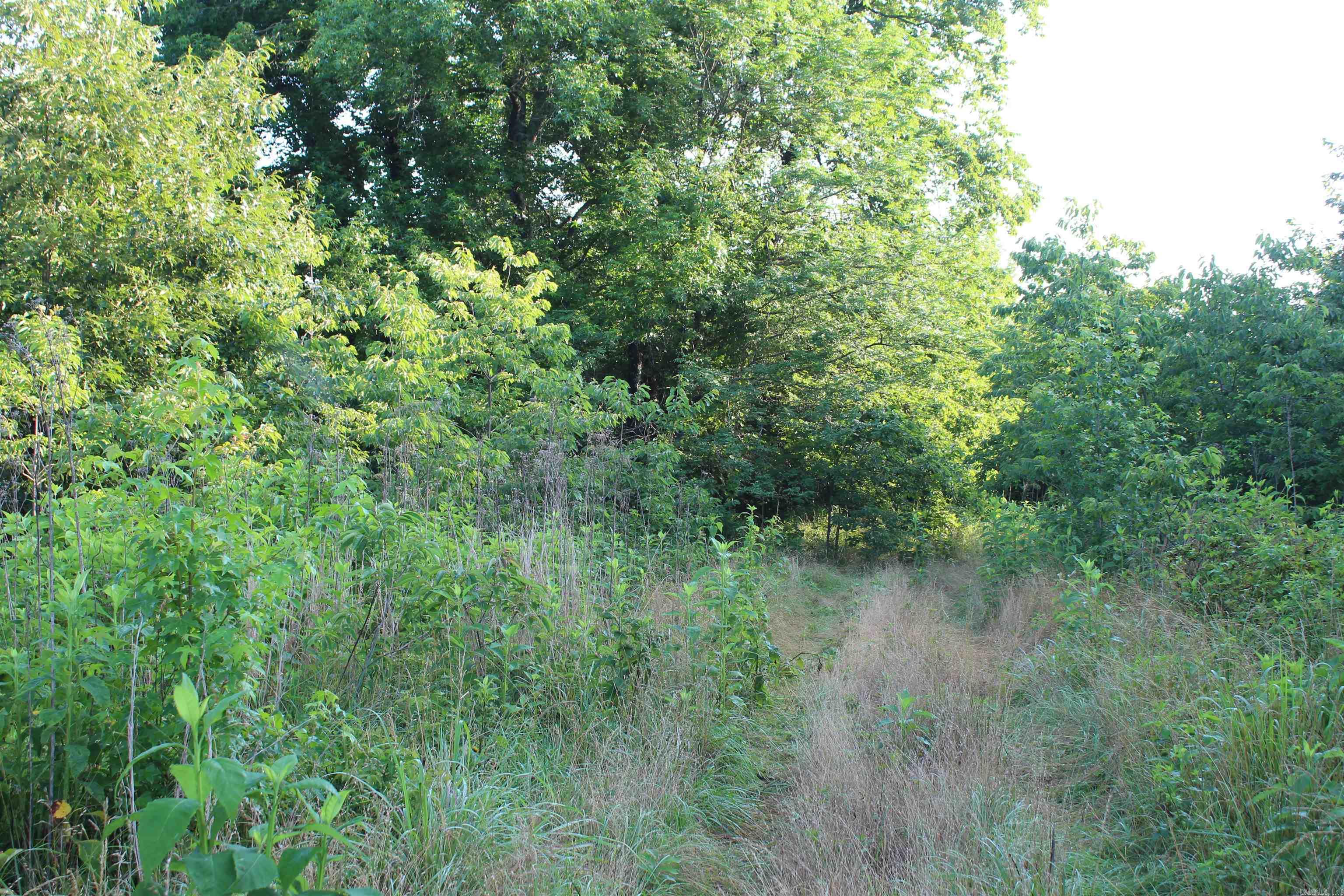 000 197  New Blaine, AR
