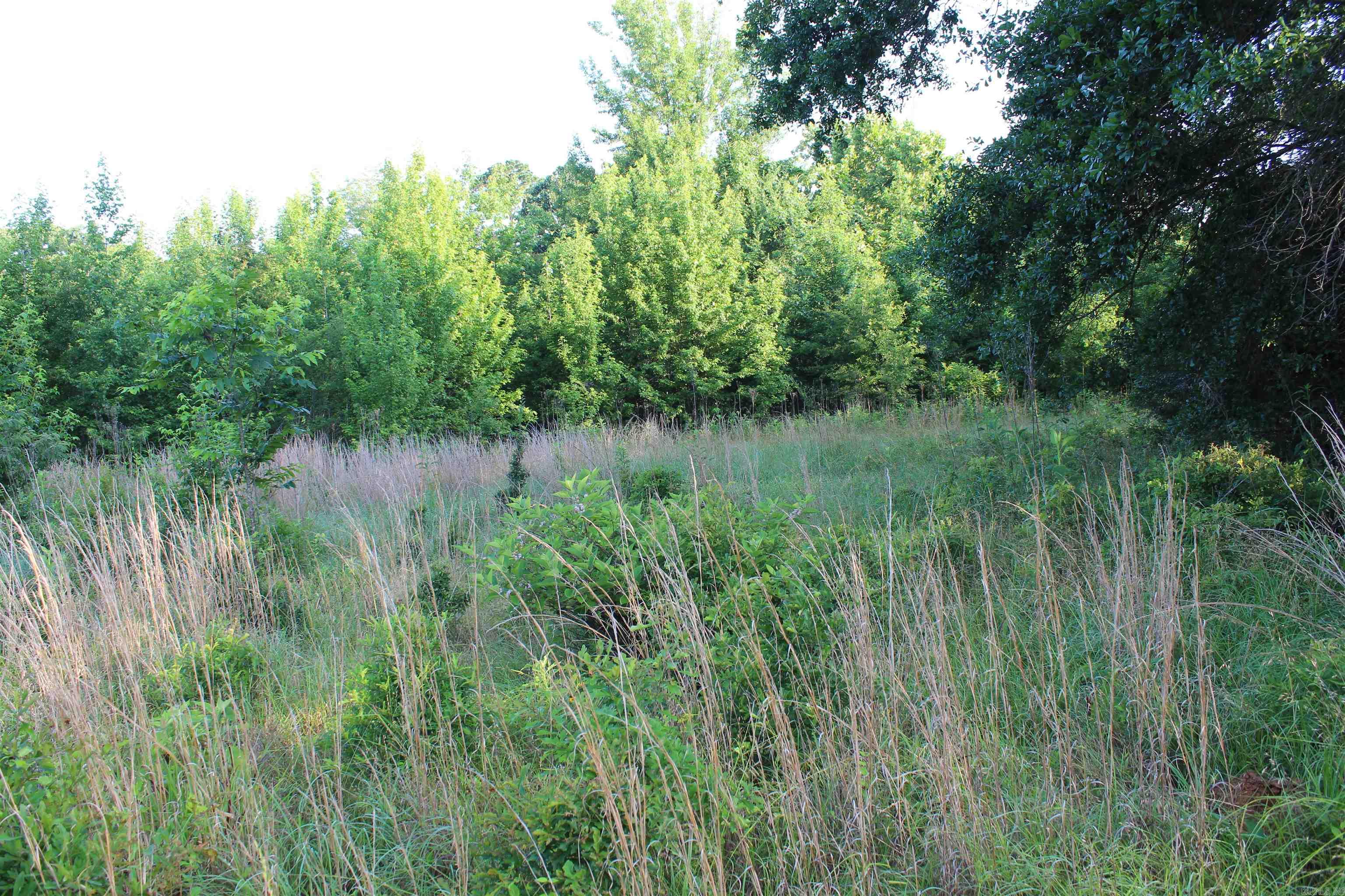 000 197  New Blaine, AR