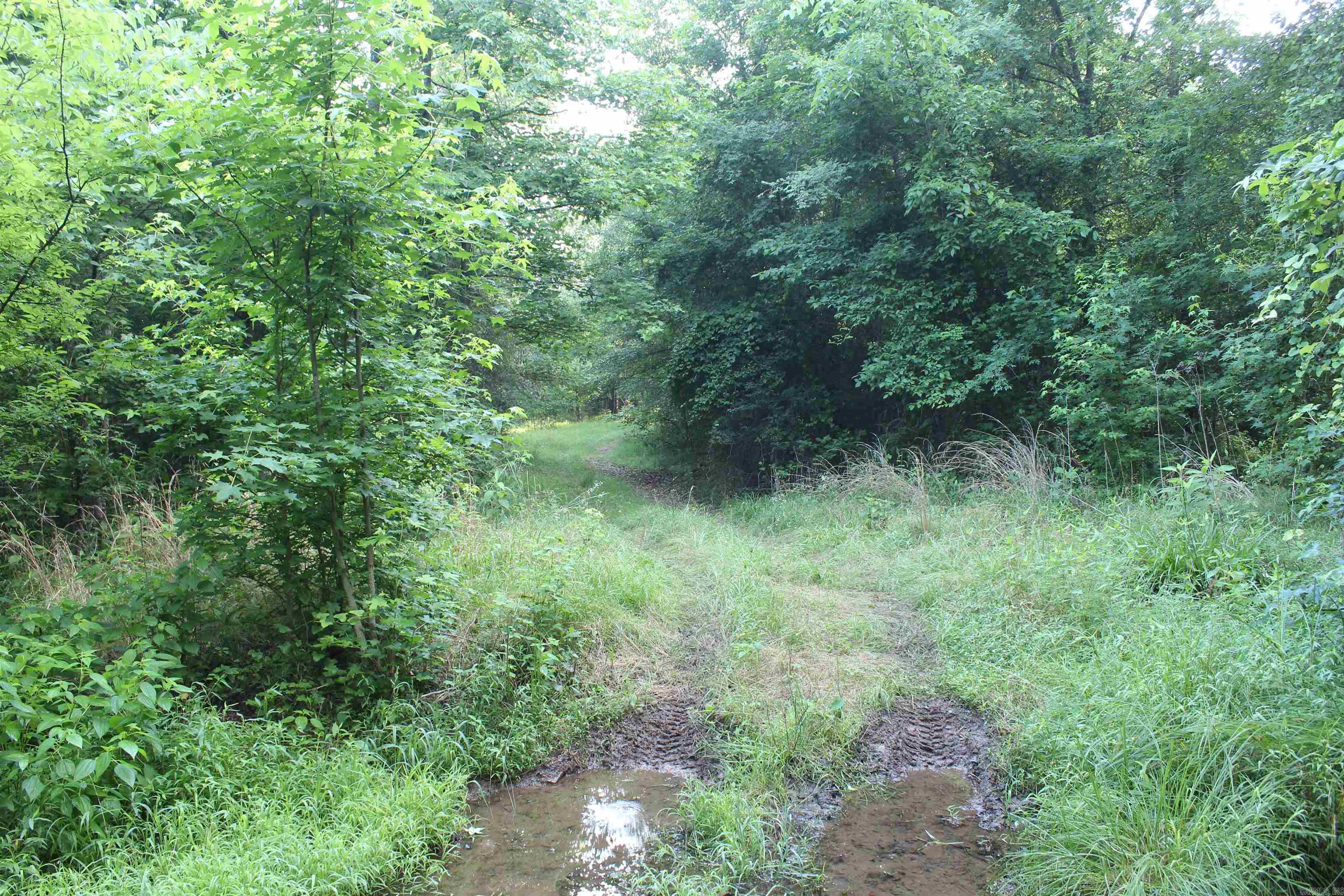 000 197  New Blaine, AR