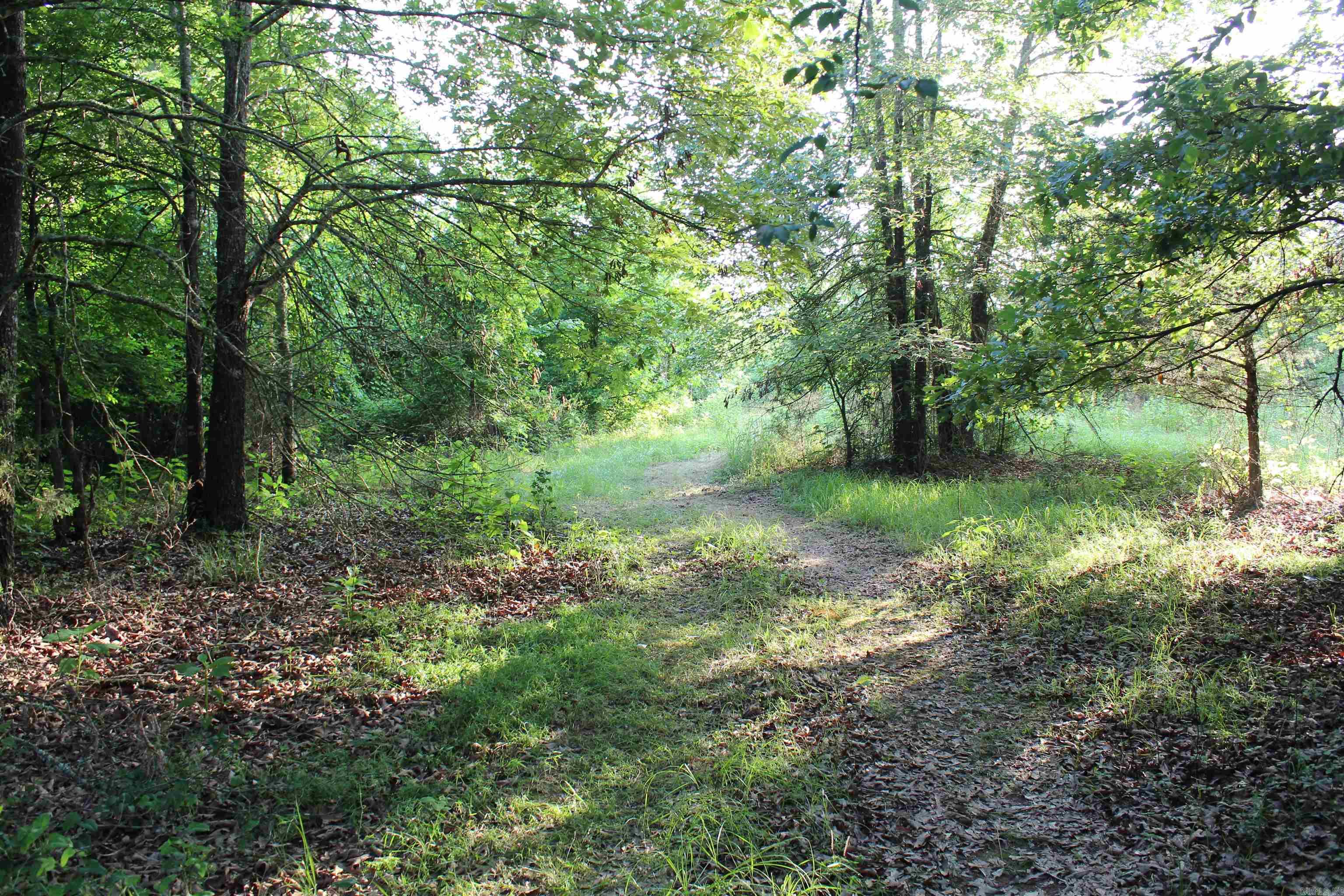 000 197  New Blaine, AR