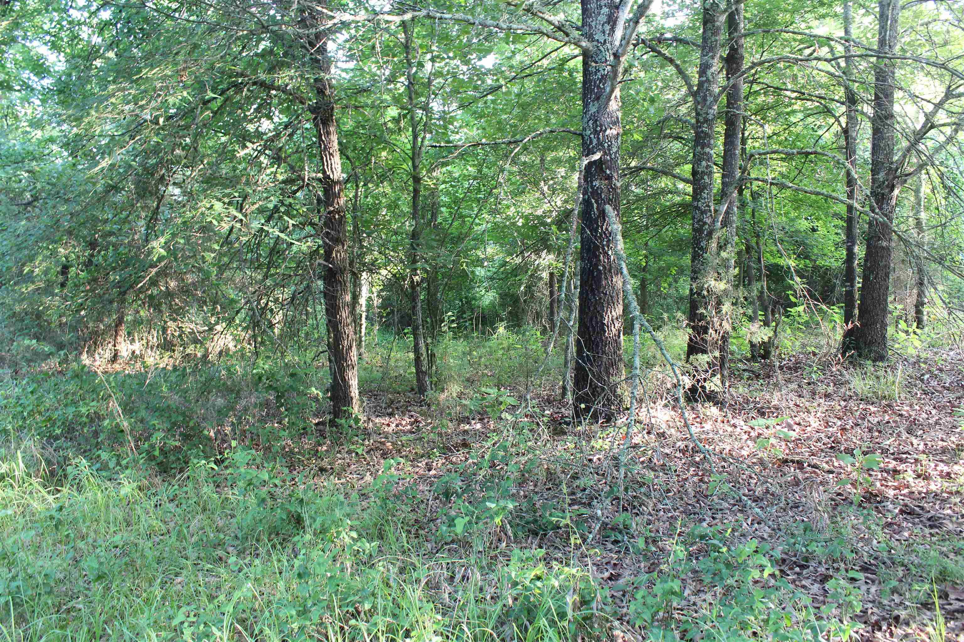 000 197  New Blaine, AR