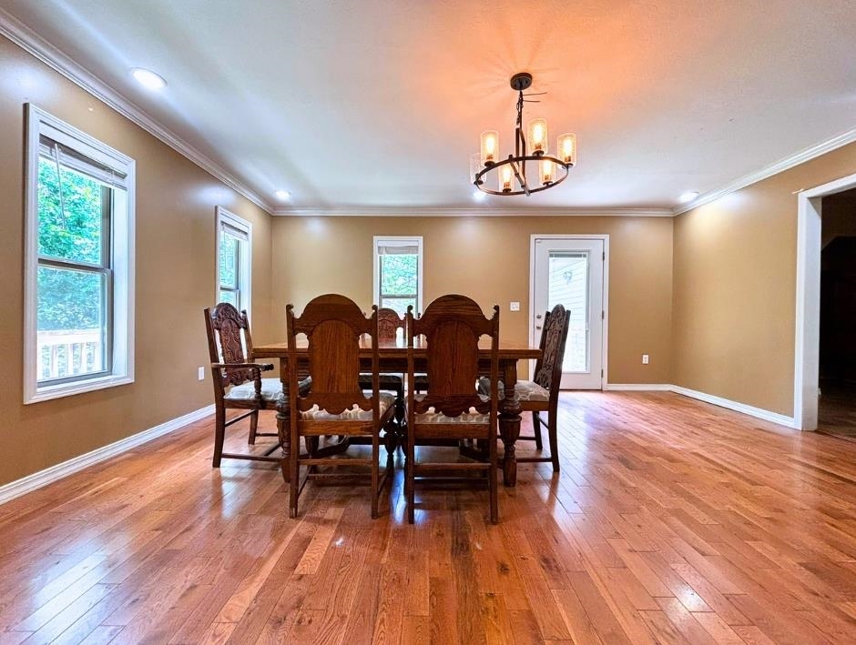 67 Highland Cove  Highland, AR