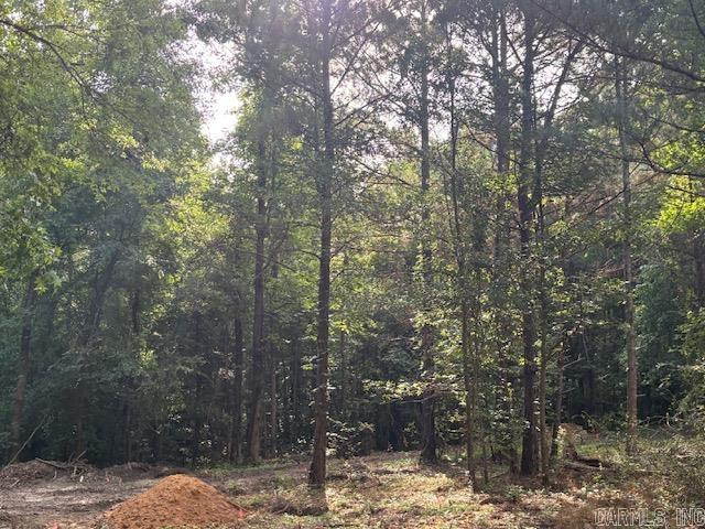TR 4 N Sardis  Mabelvale, AR