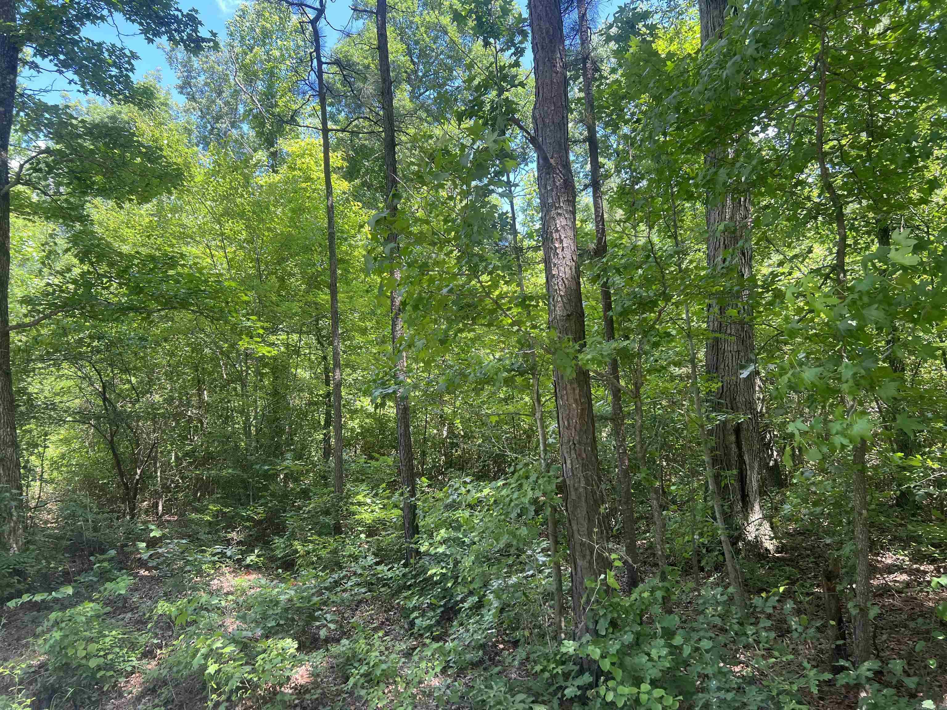 00 McKevin Road  Pine Bluff, AR