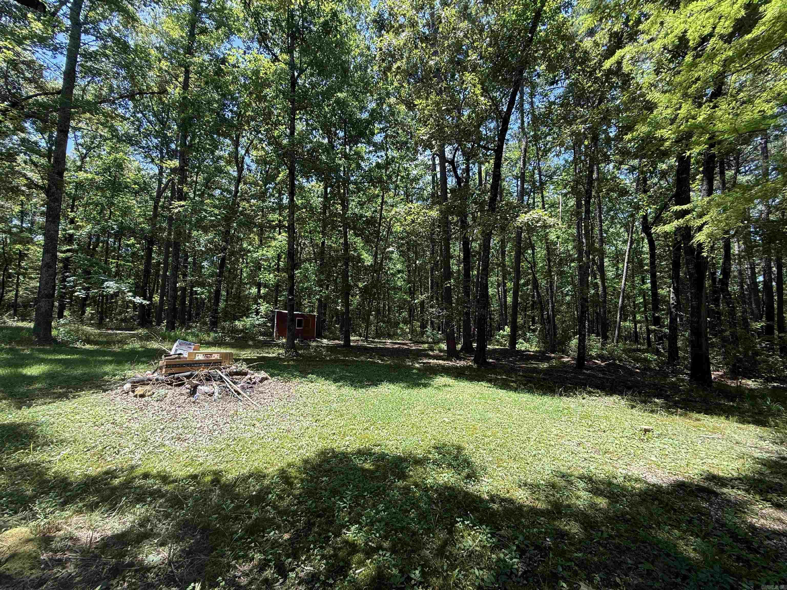 25100 Blue Gill Dr  Roland, AR