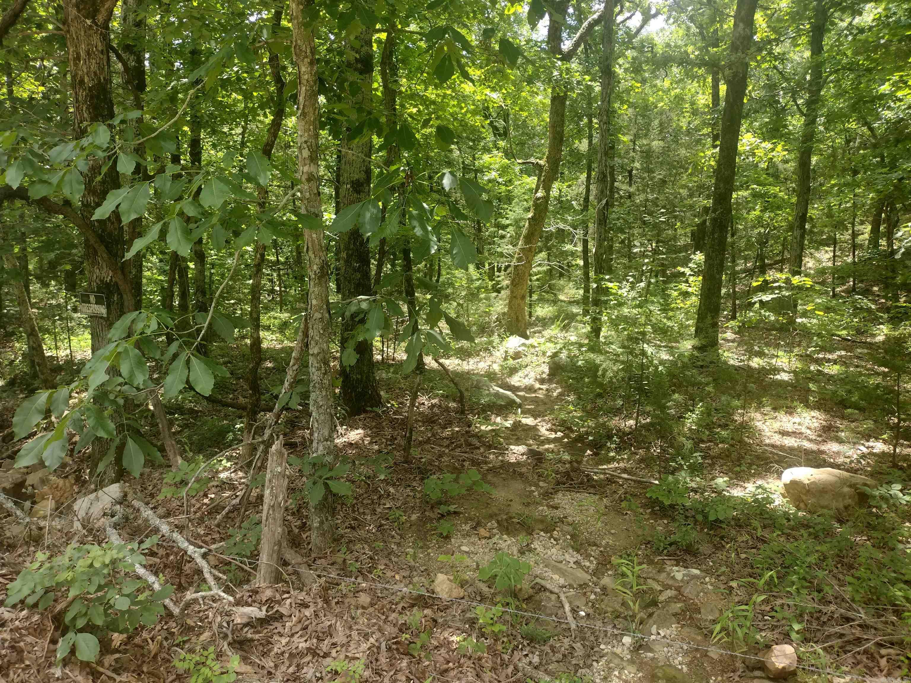 483 Mcintire ln  Mountain View, AR