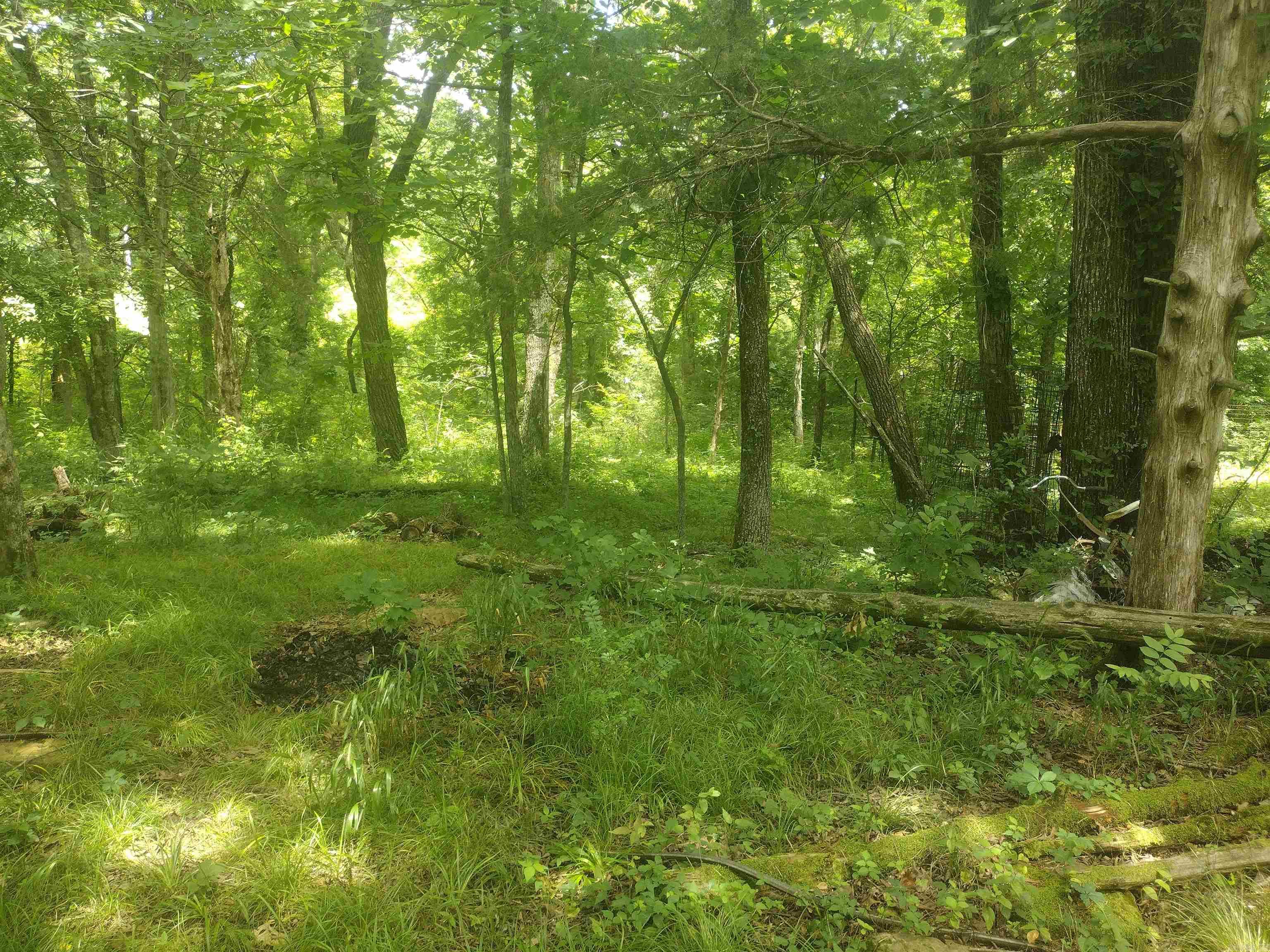 483 Mcintire ln  Mountain View, AR