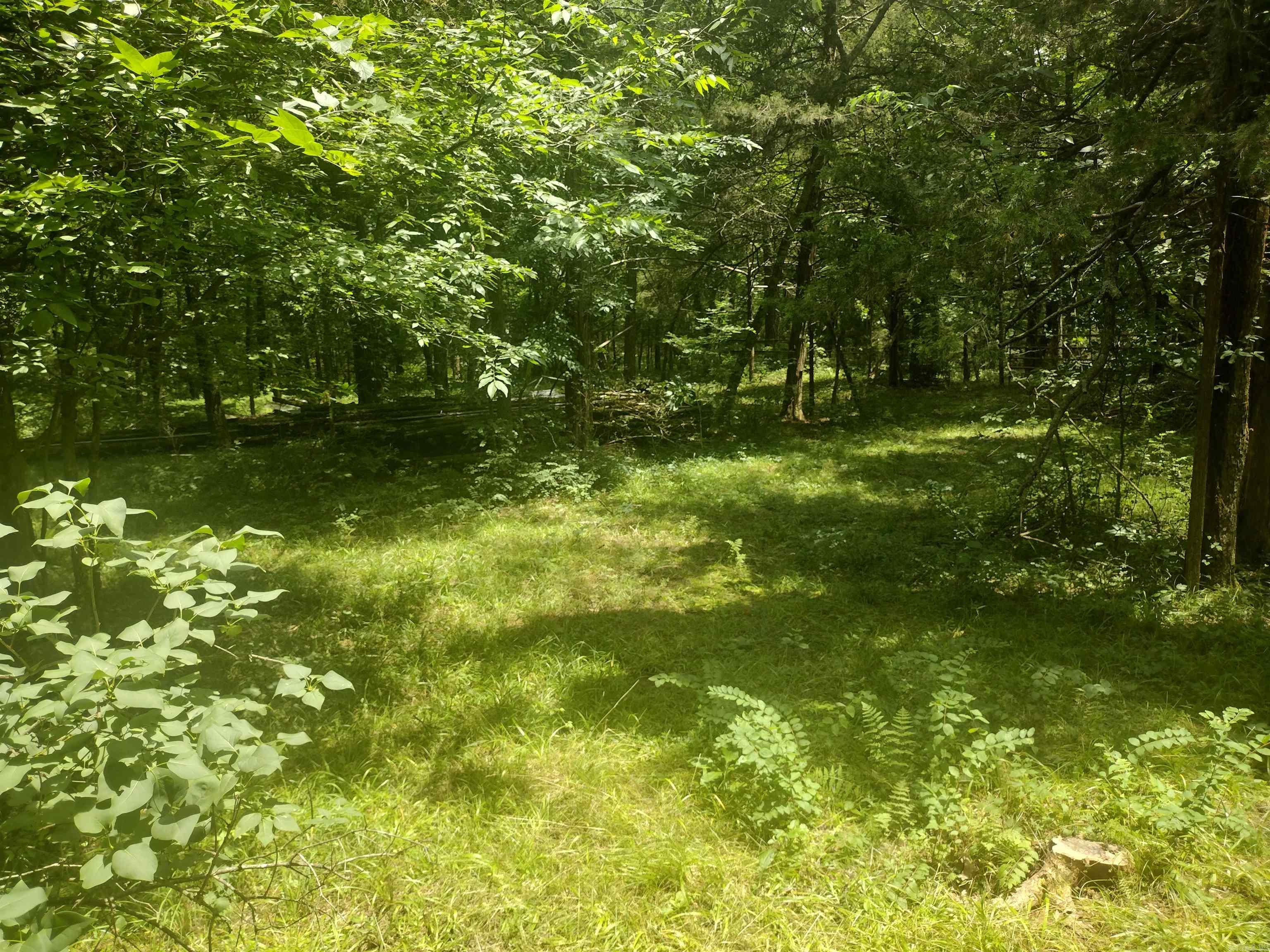483 Mcintire ln  Mountain View, AR