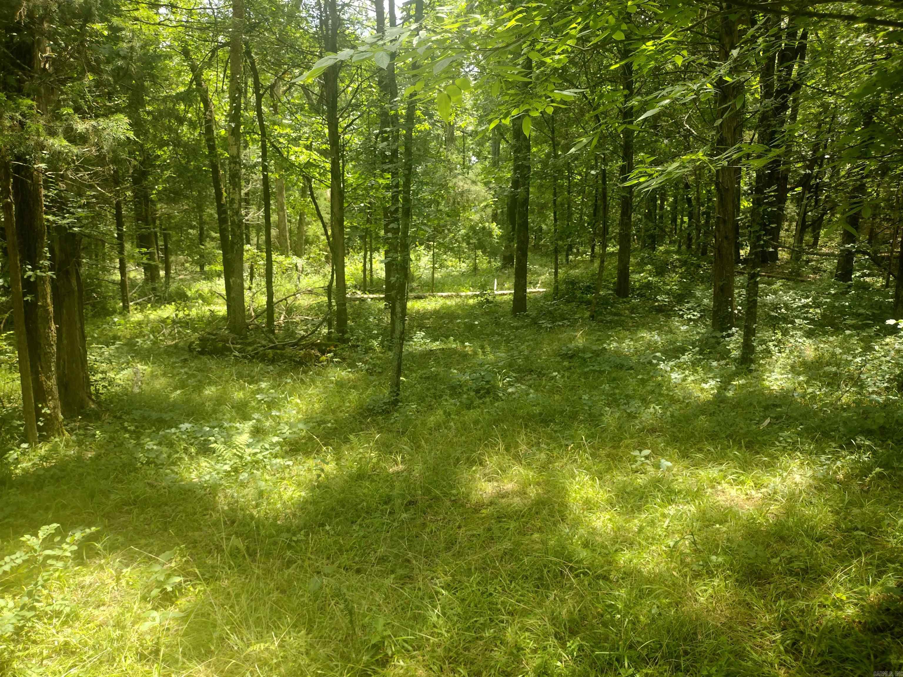 483 Mcintire ln  Mountain View, AR