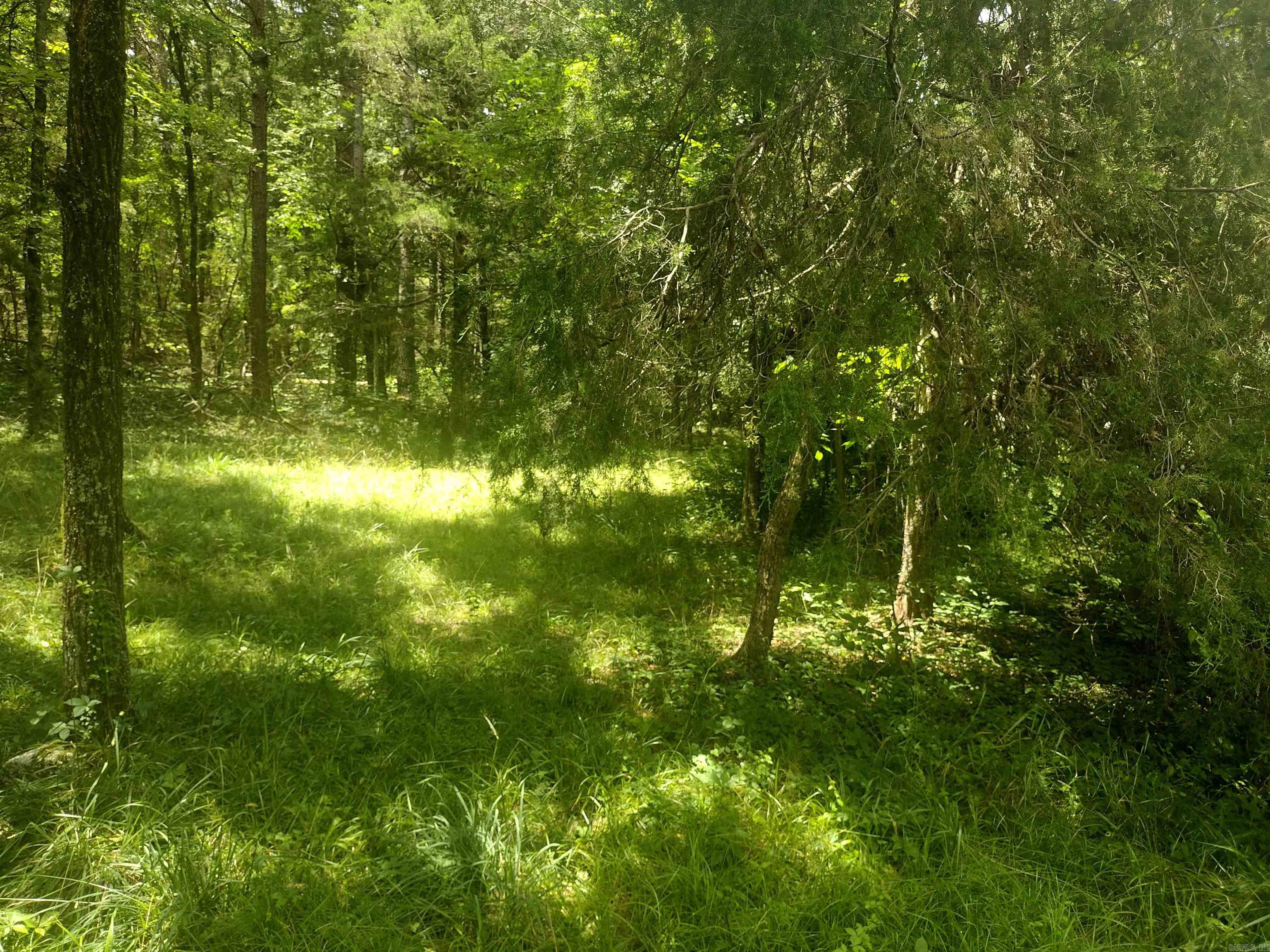 483 Mcintire ln  Mountain View, AR