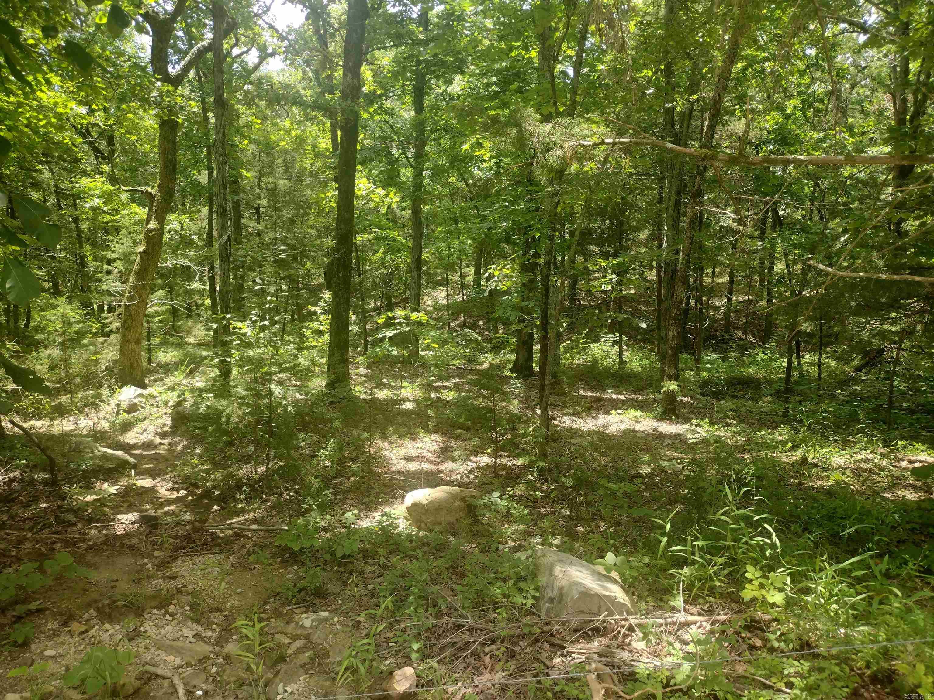 483 Mcintire ln  Mountain View, AR