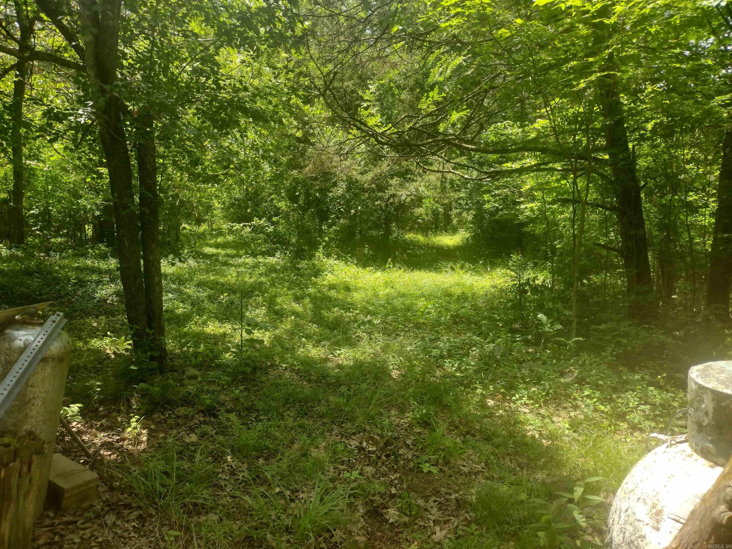 483 Mcintire ln  Mountain View, AR