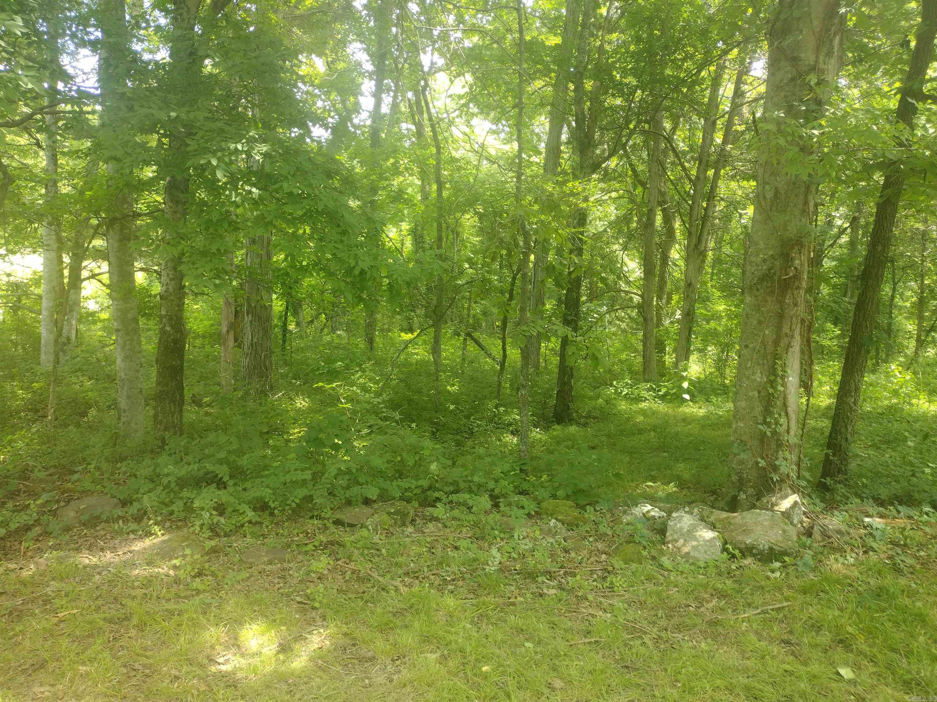 483 Mcintire ln  Mountain View, AR
