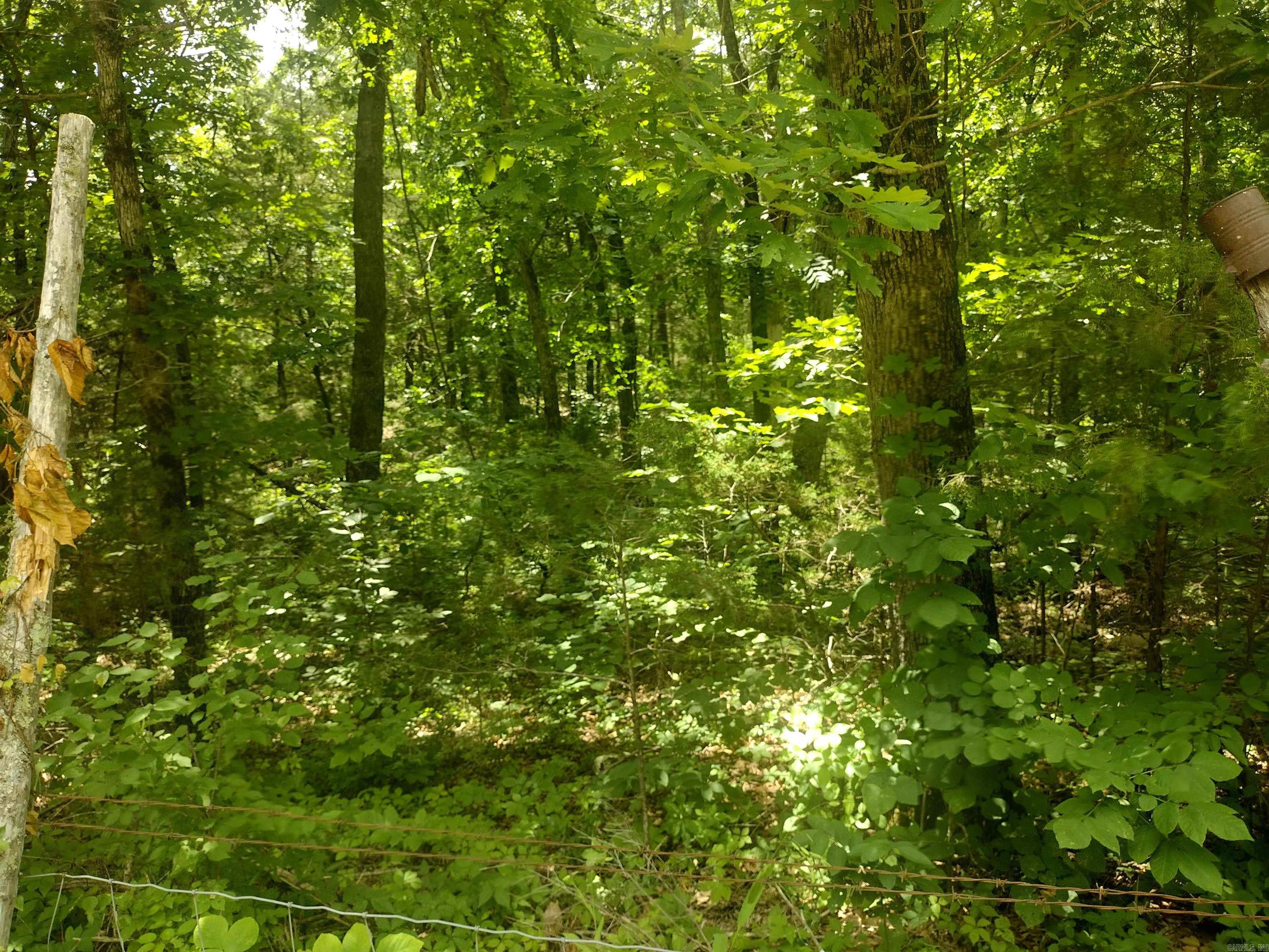 483 Mcintire ln  Mountain View, AR