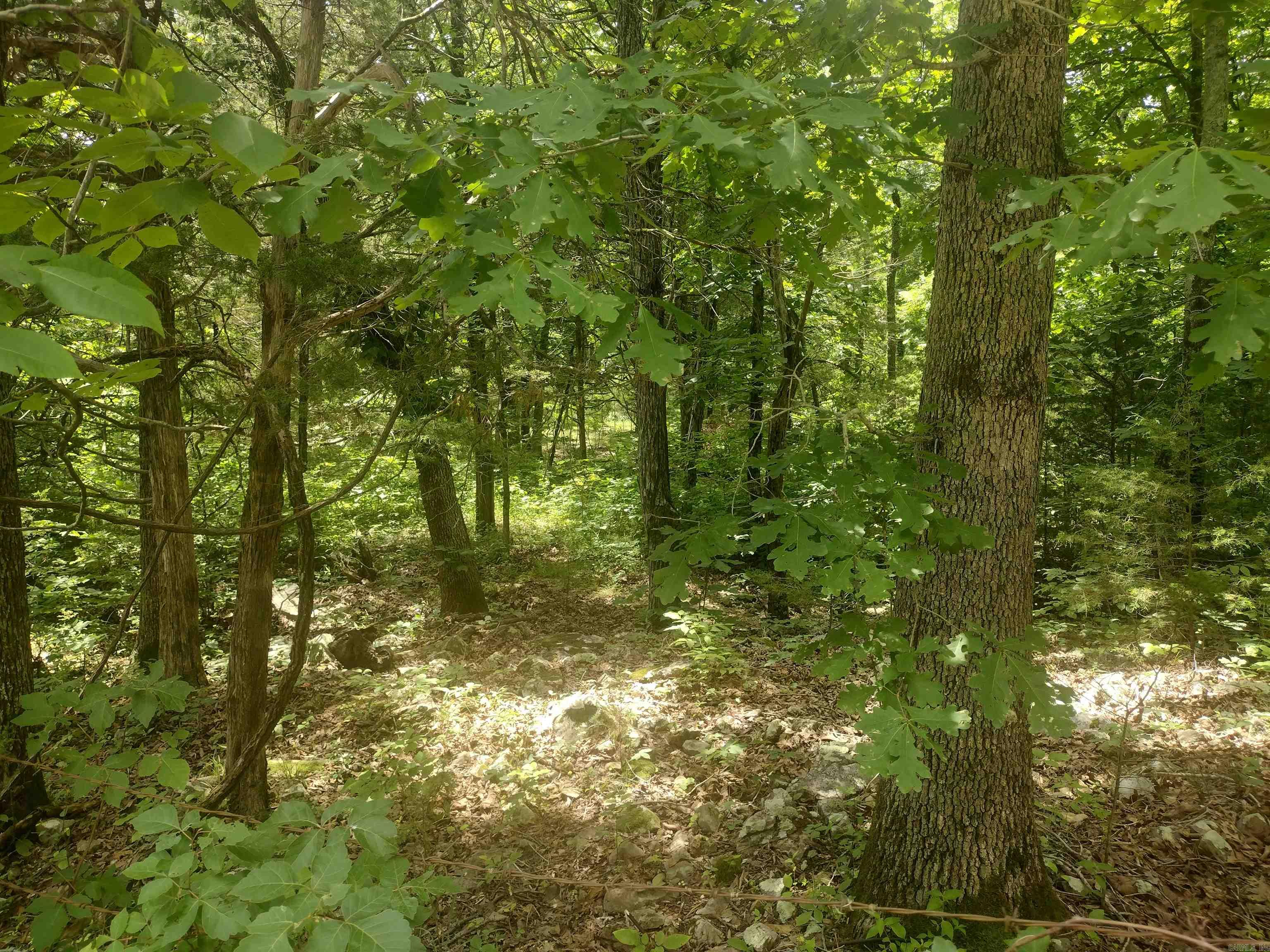 483 Mcintire ln  Mountain View, AR