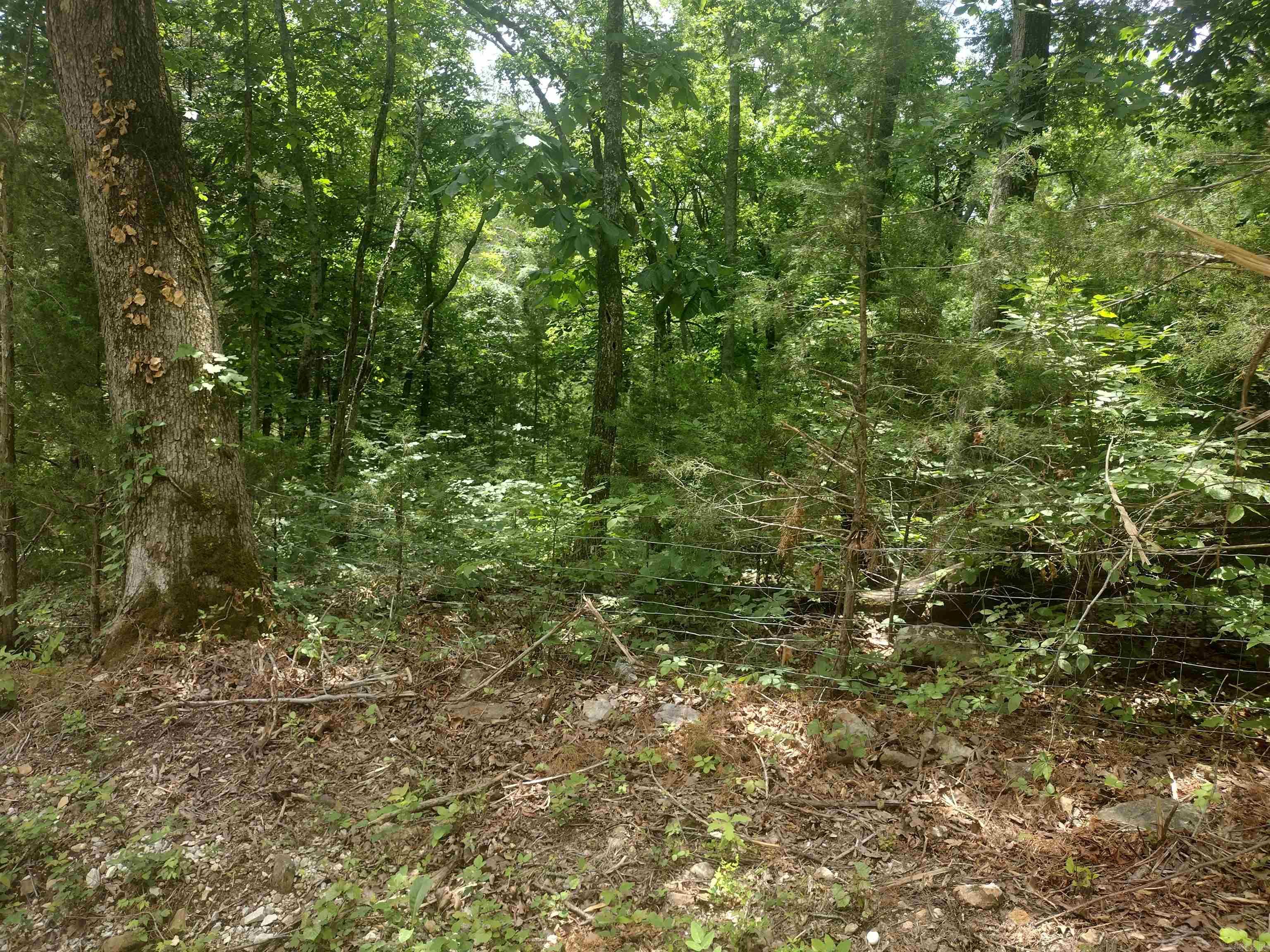 483 Mcintire ln  Mountain View, AR