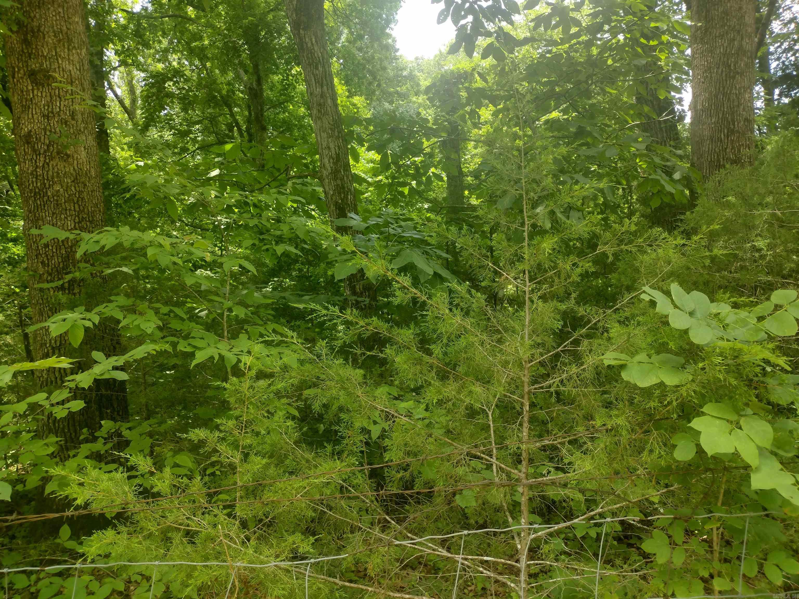 483 Mcintire ln  Mountain View, AR