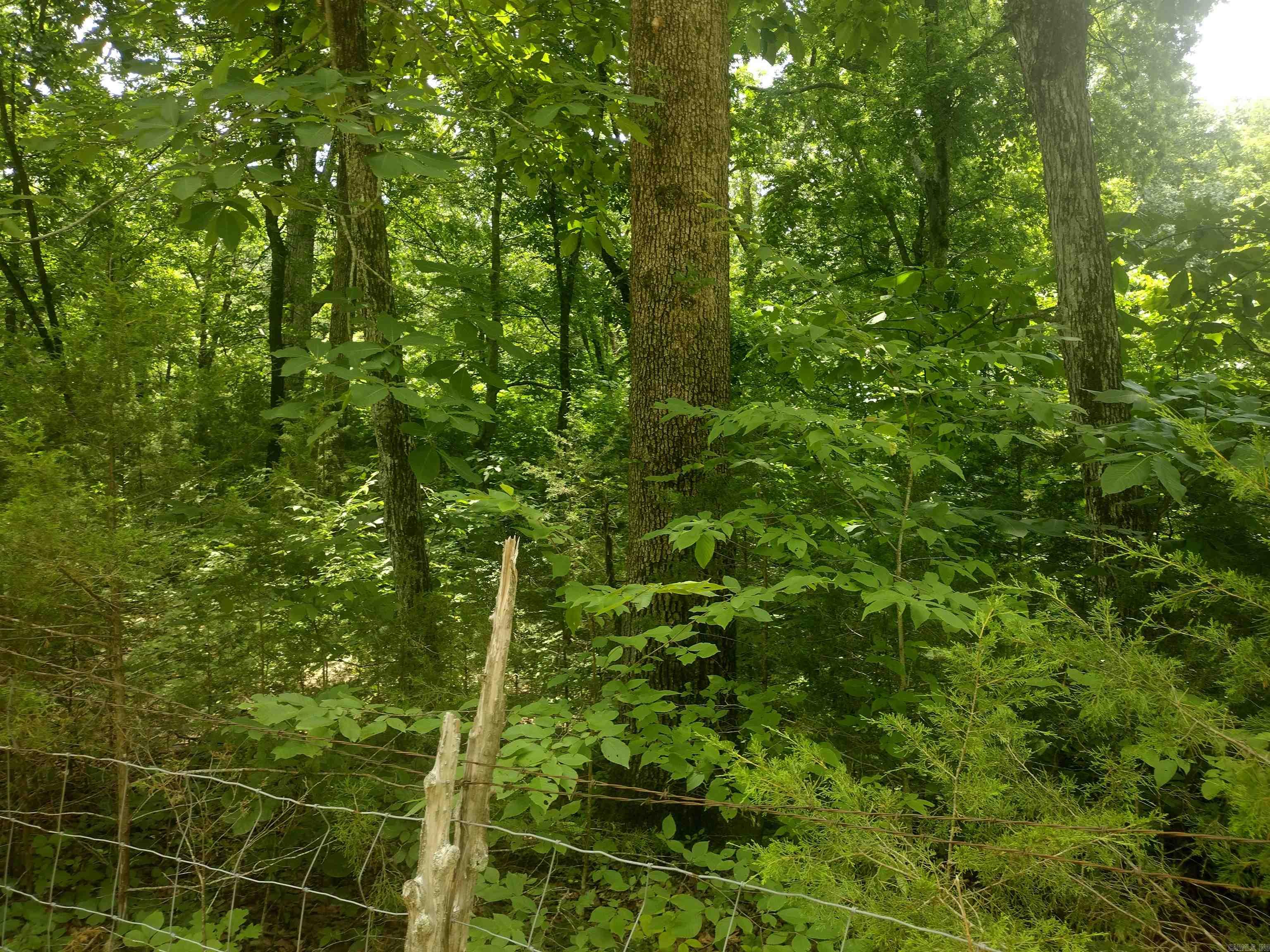 483 Mcintire ln  Mountain View, AR