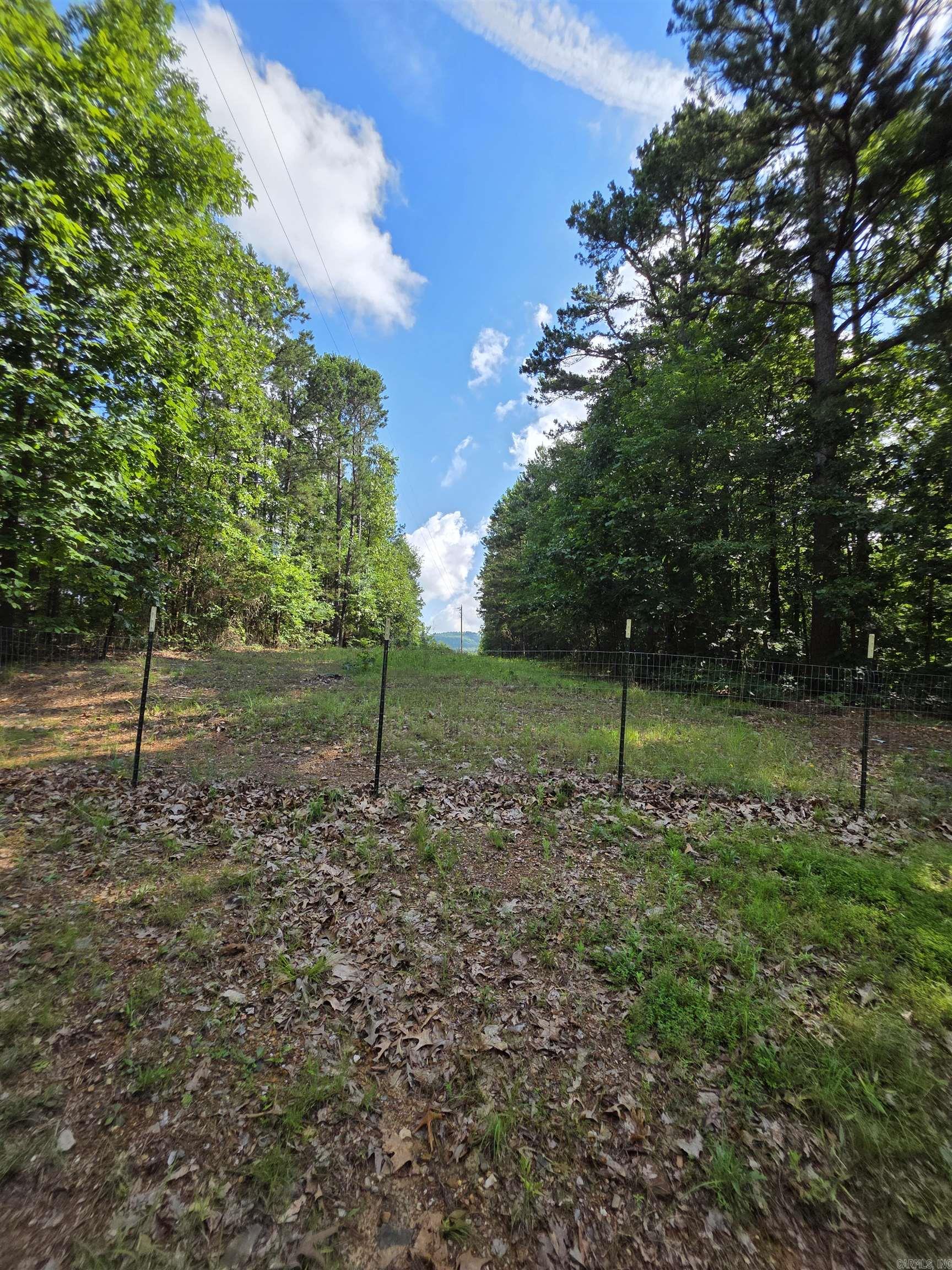 677 Polk 194  Mena, AR