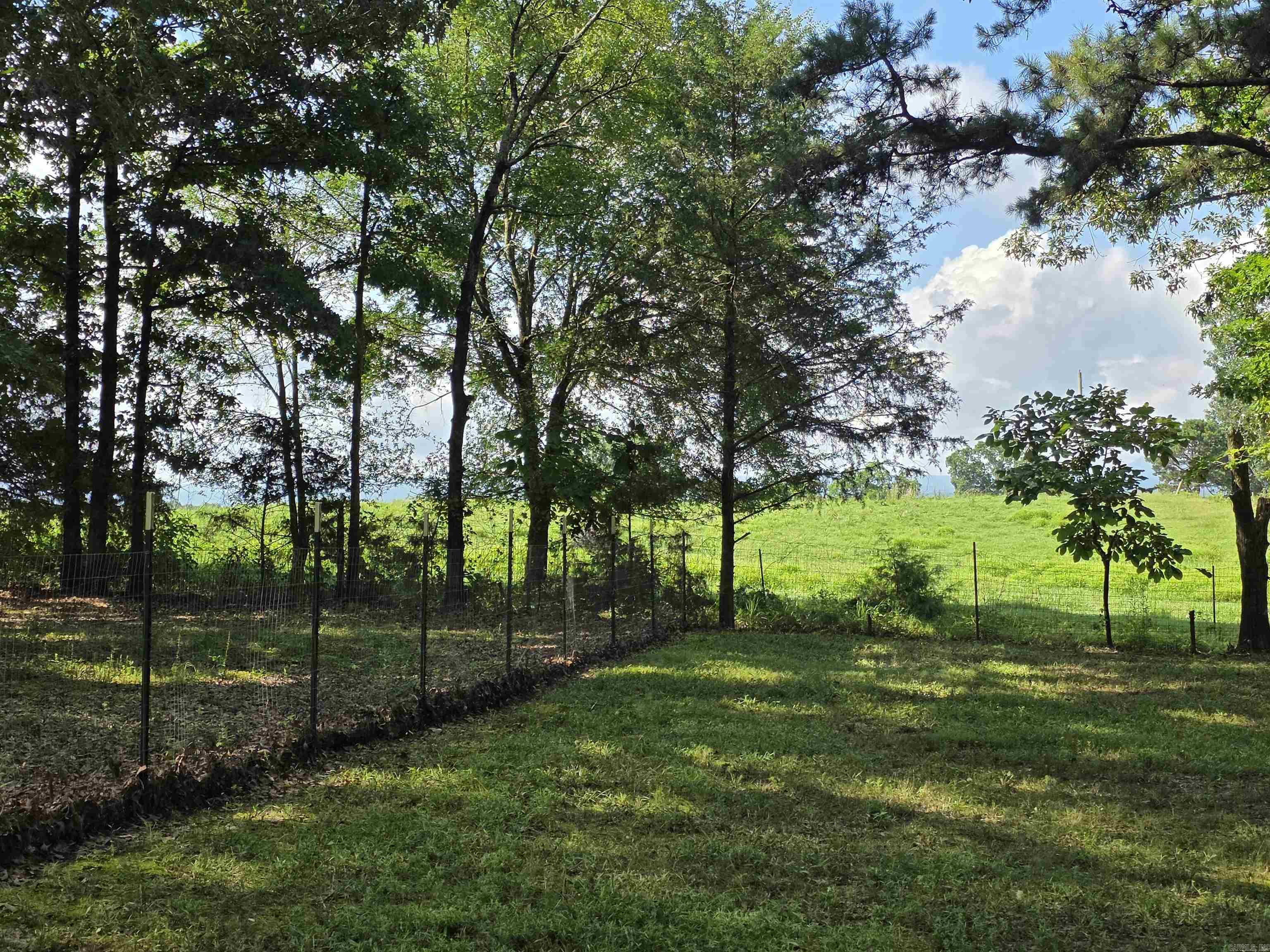 677 Polk 194  Mena, AR