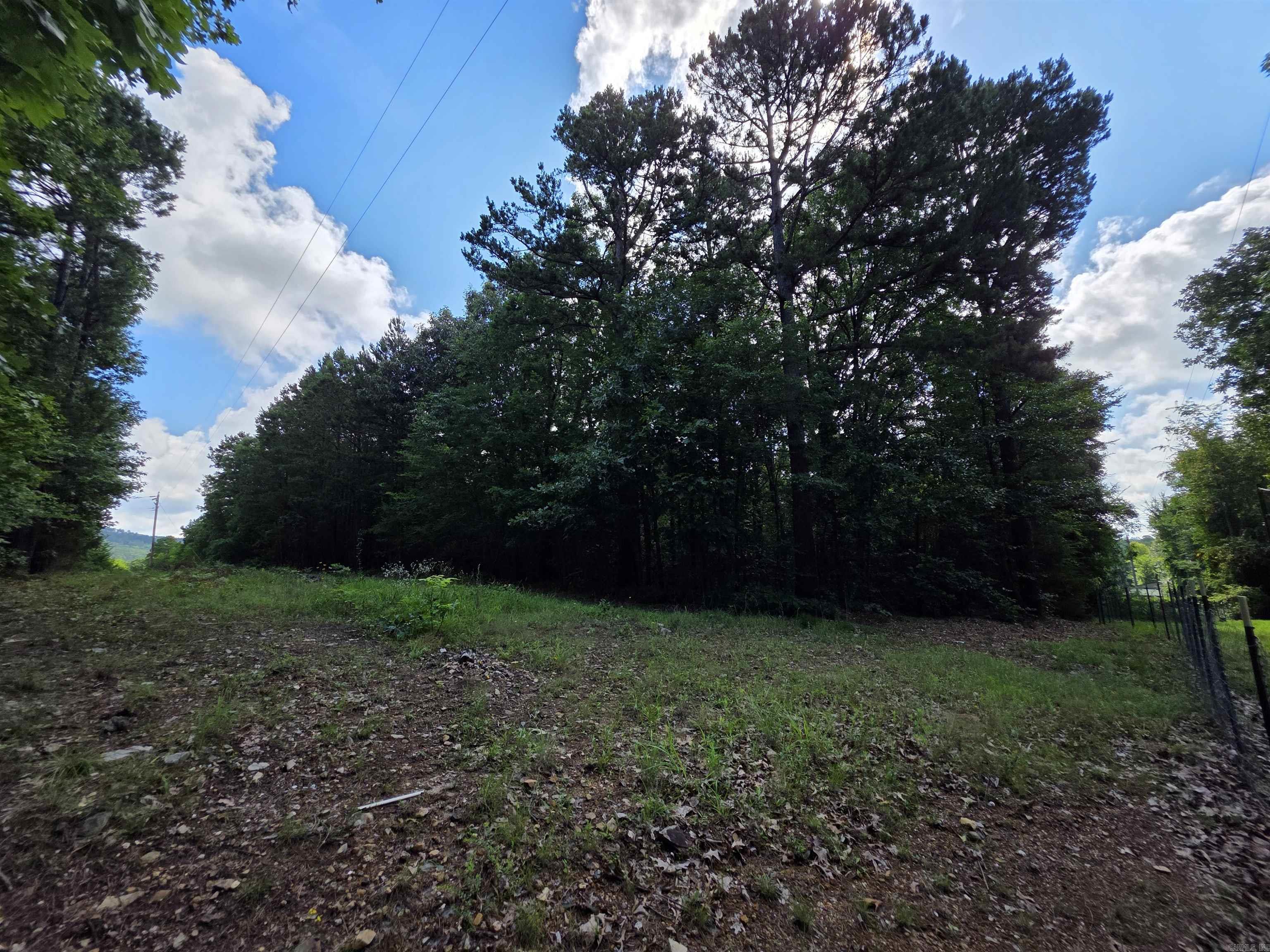 677 Polk 194  Mena, AR