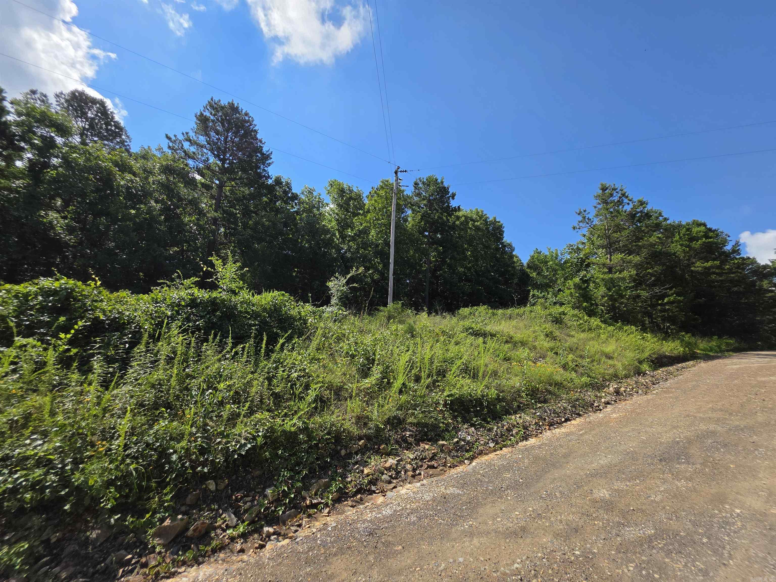 677 Polk 194  Mena, AR