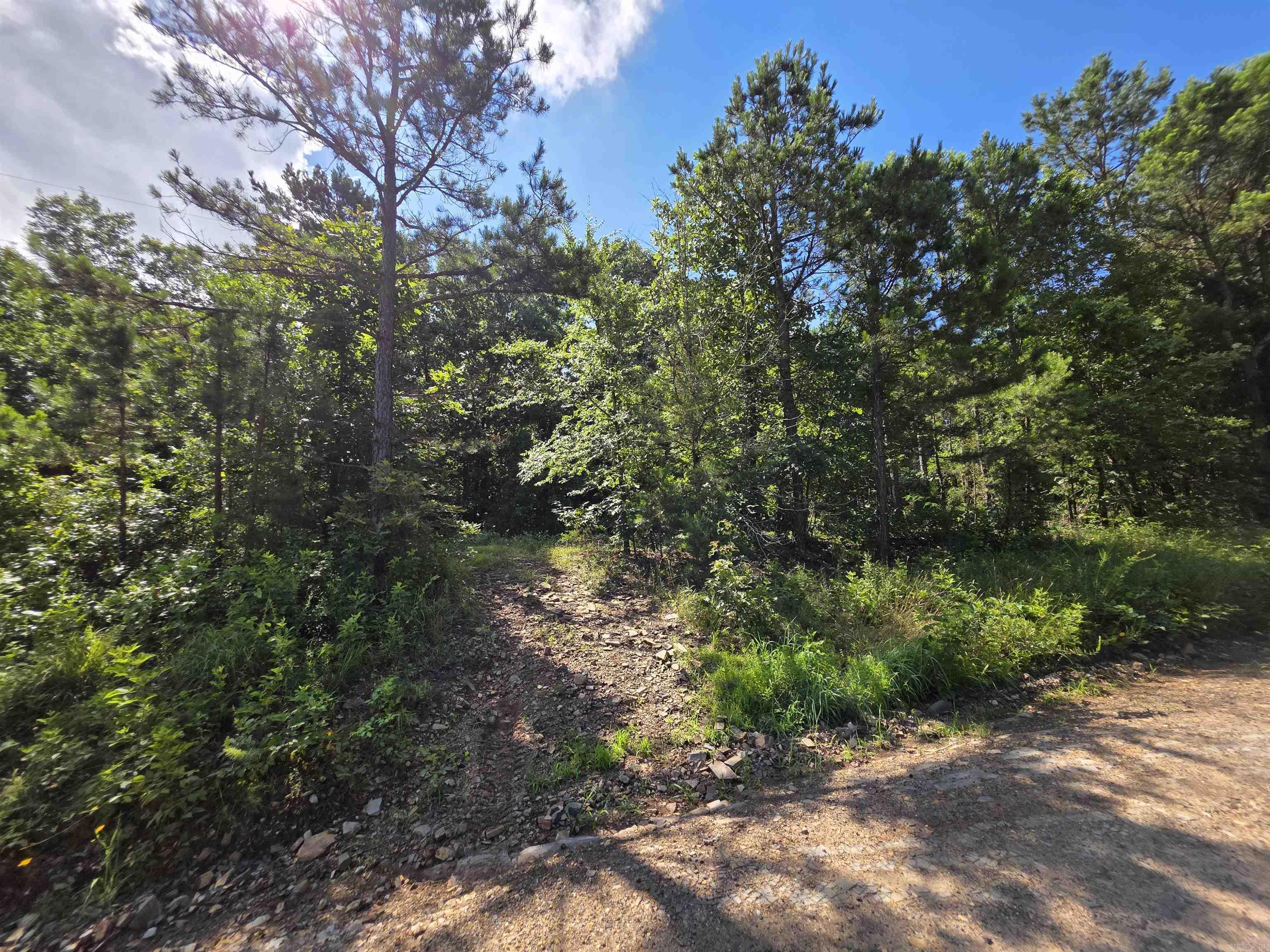 677 Polk 194  Mena, AR
