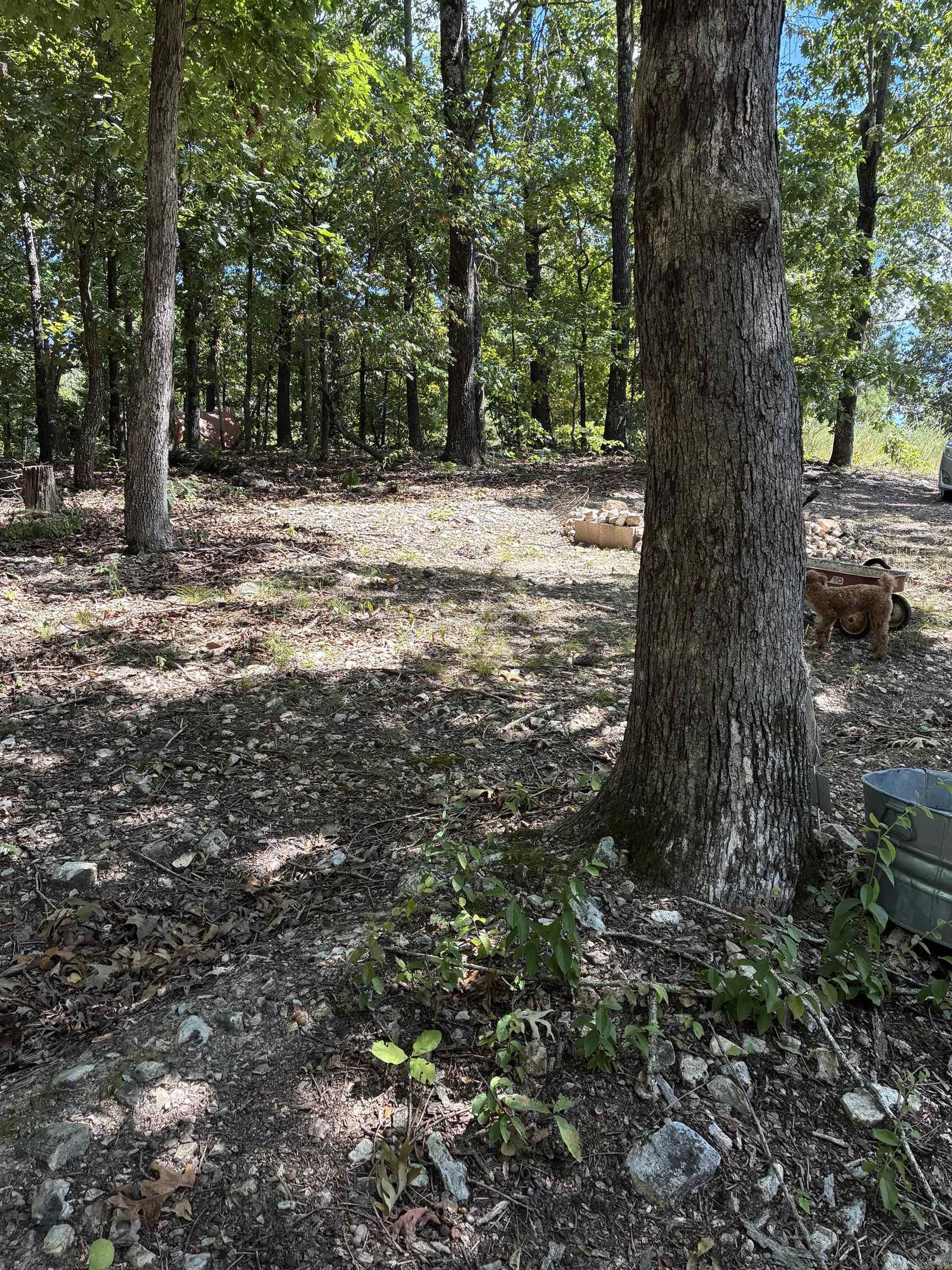 2662 MC 8050  Yellville, AR