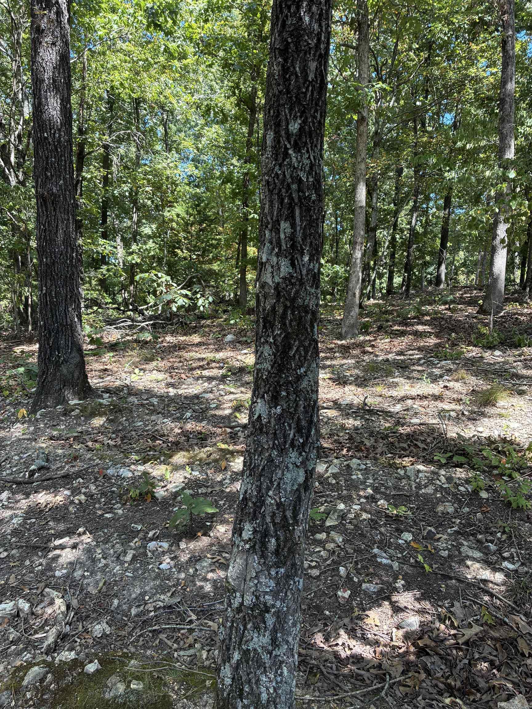 2662 MC 8050  Yellville, AR