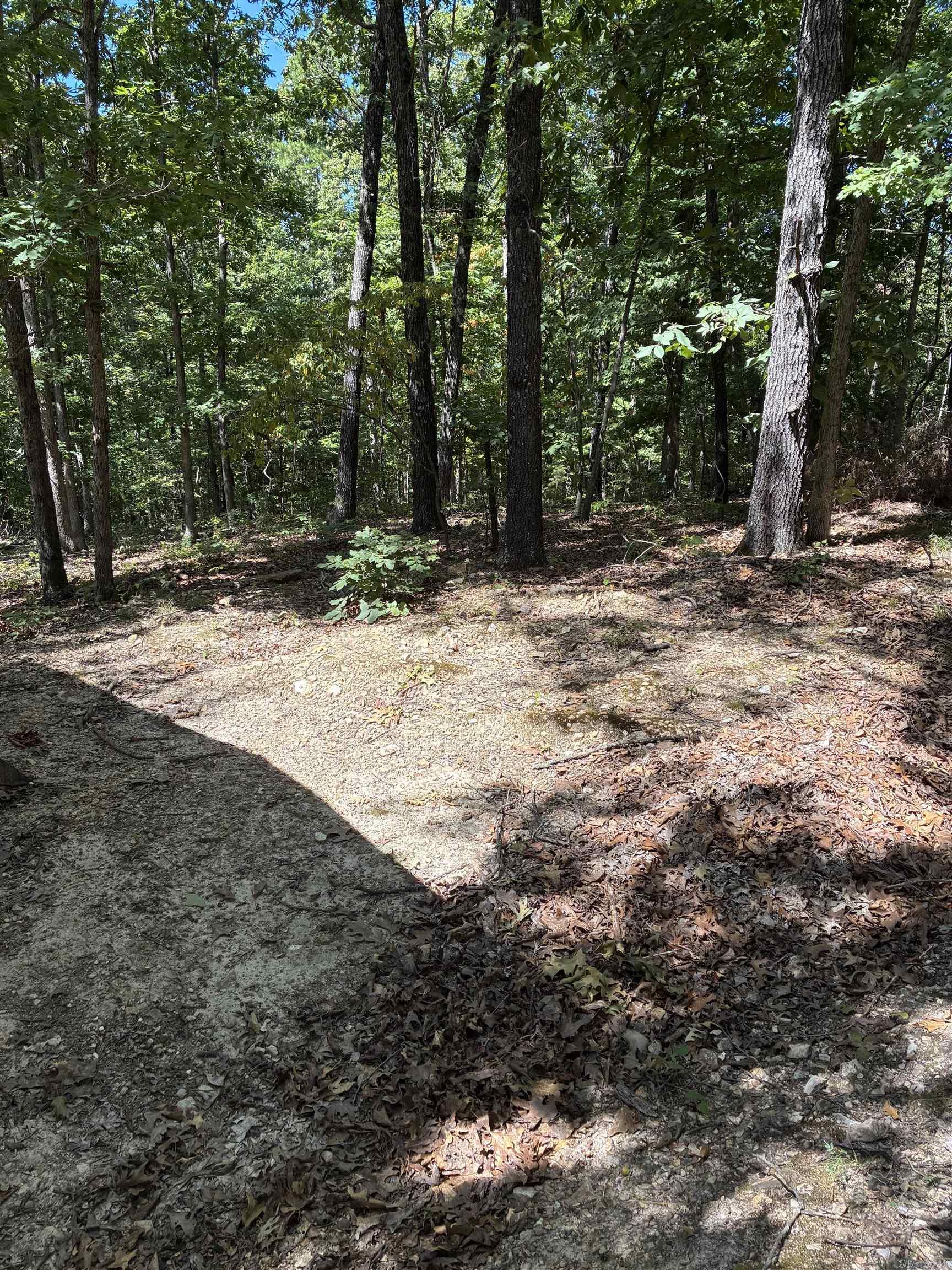 2662 MC 8050  Yellville, AR