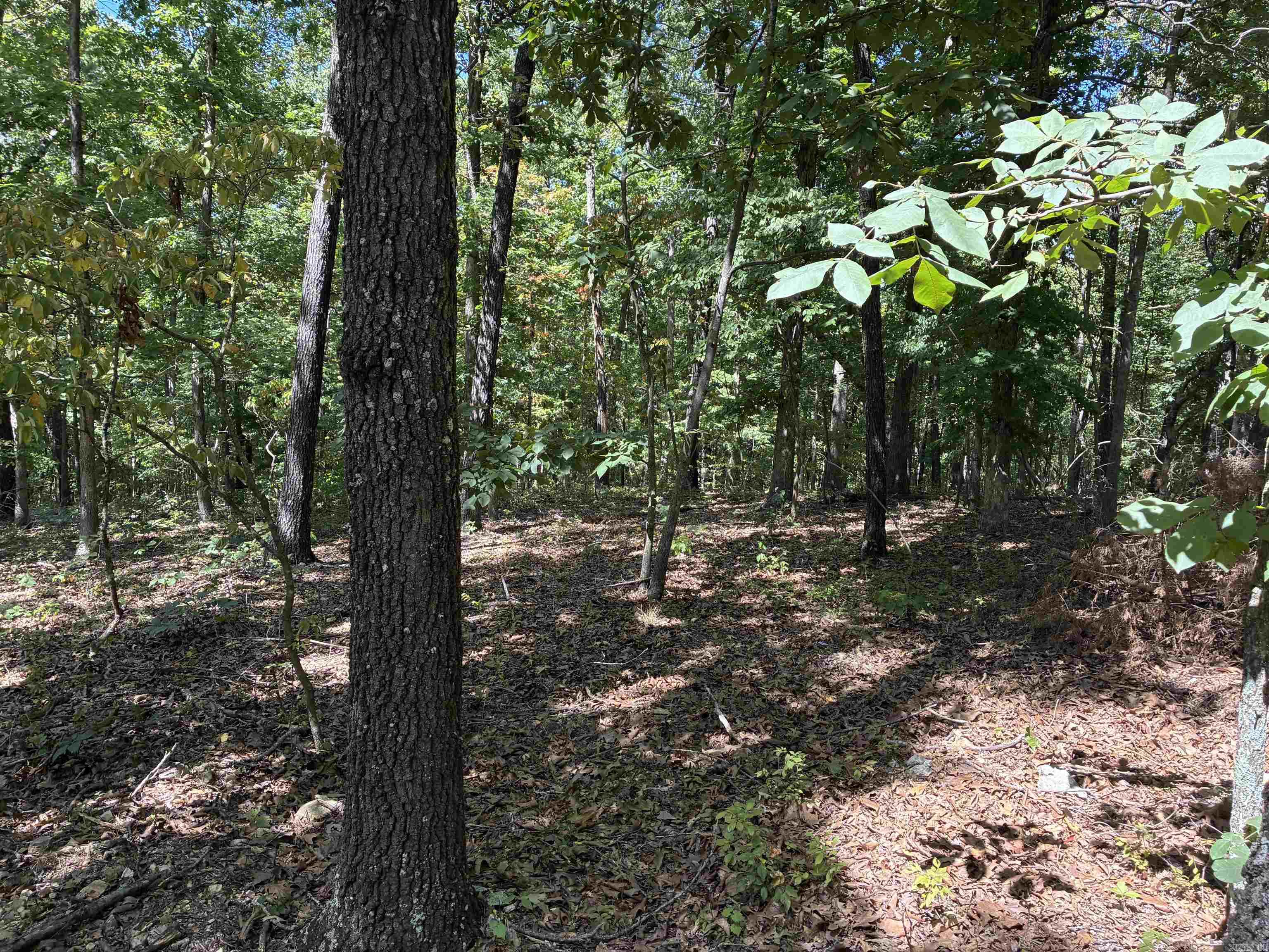 2662 MC 8050  Yellville, AR