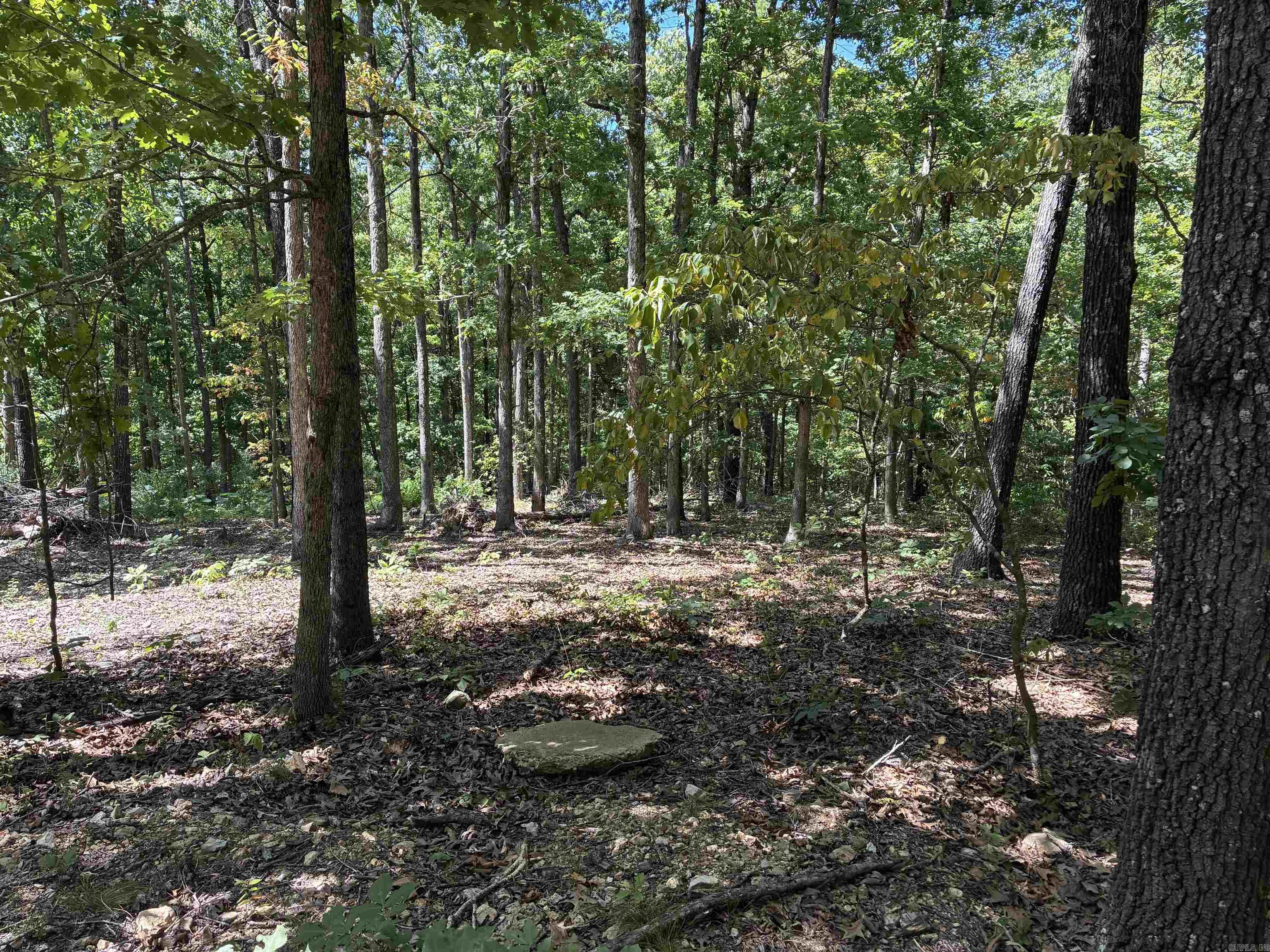 2662 MC 8050  Yellville, AR