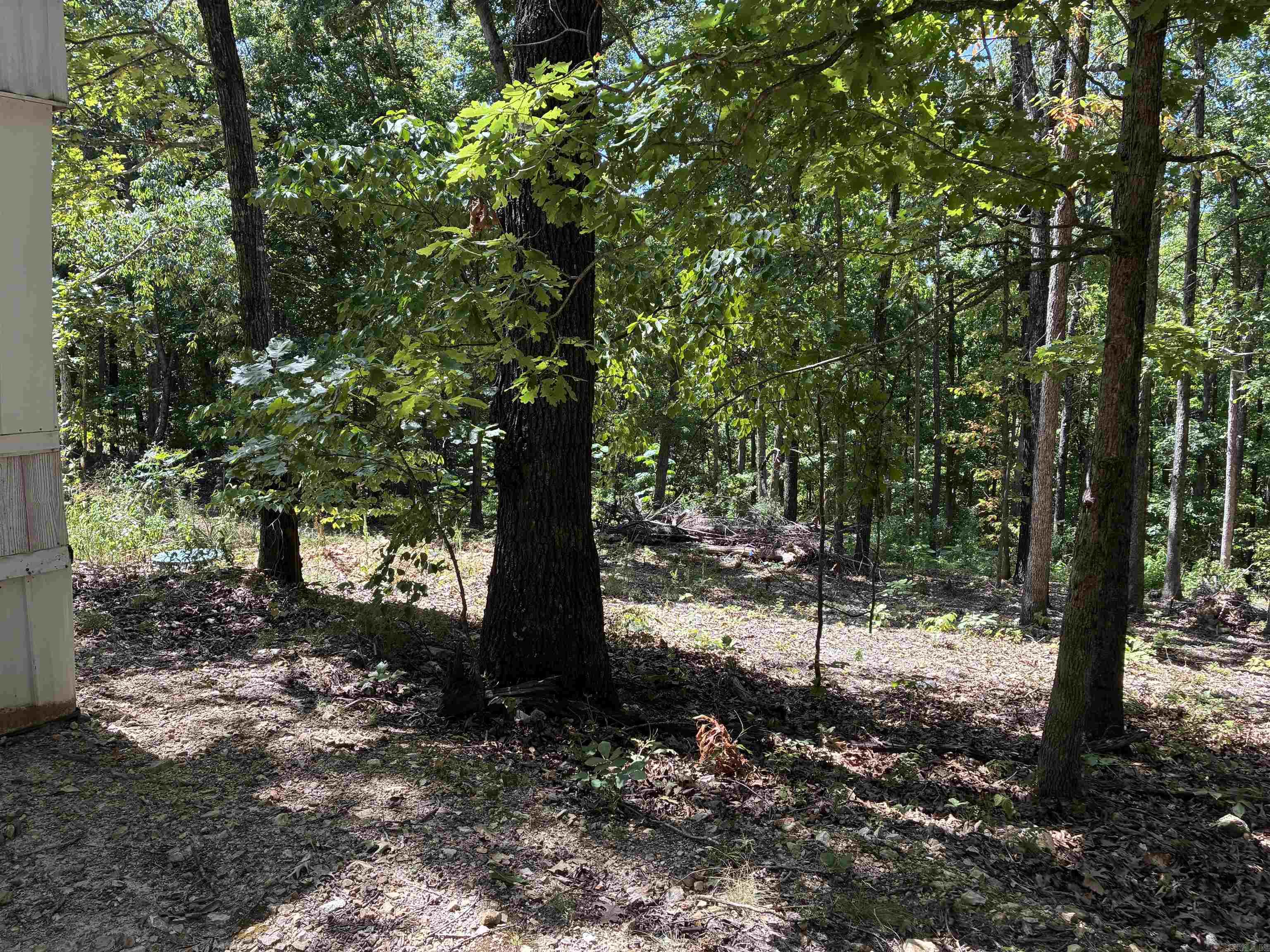 2662 MC 8050  Yellville, AR