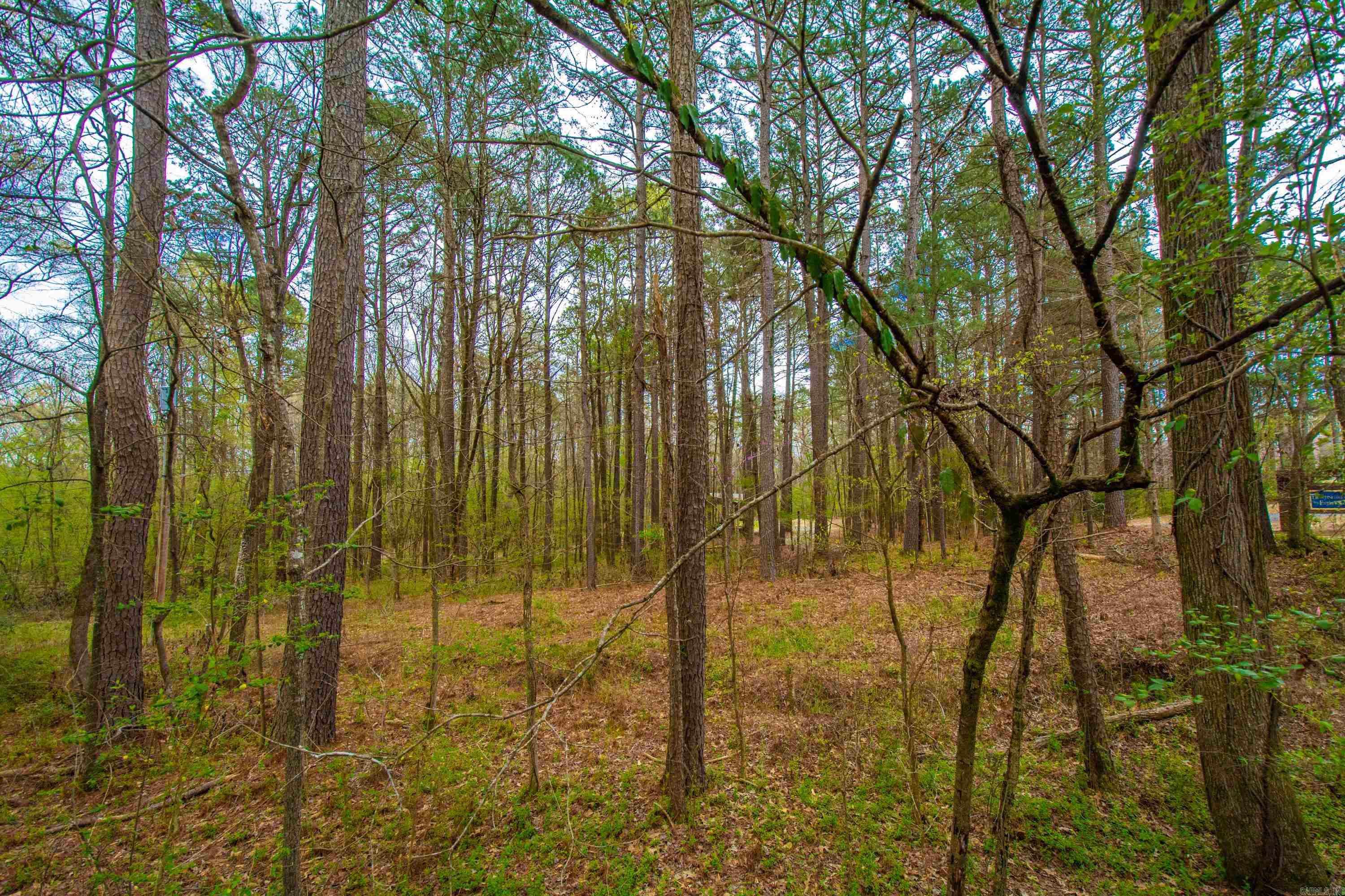 8 Parkview Drive  Bryant, AR