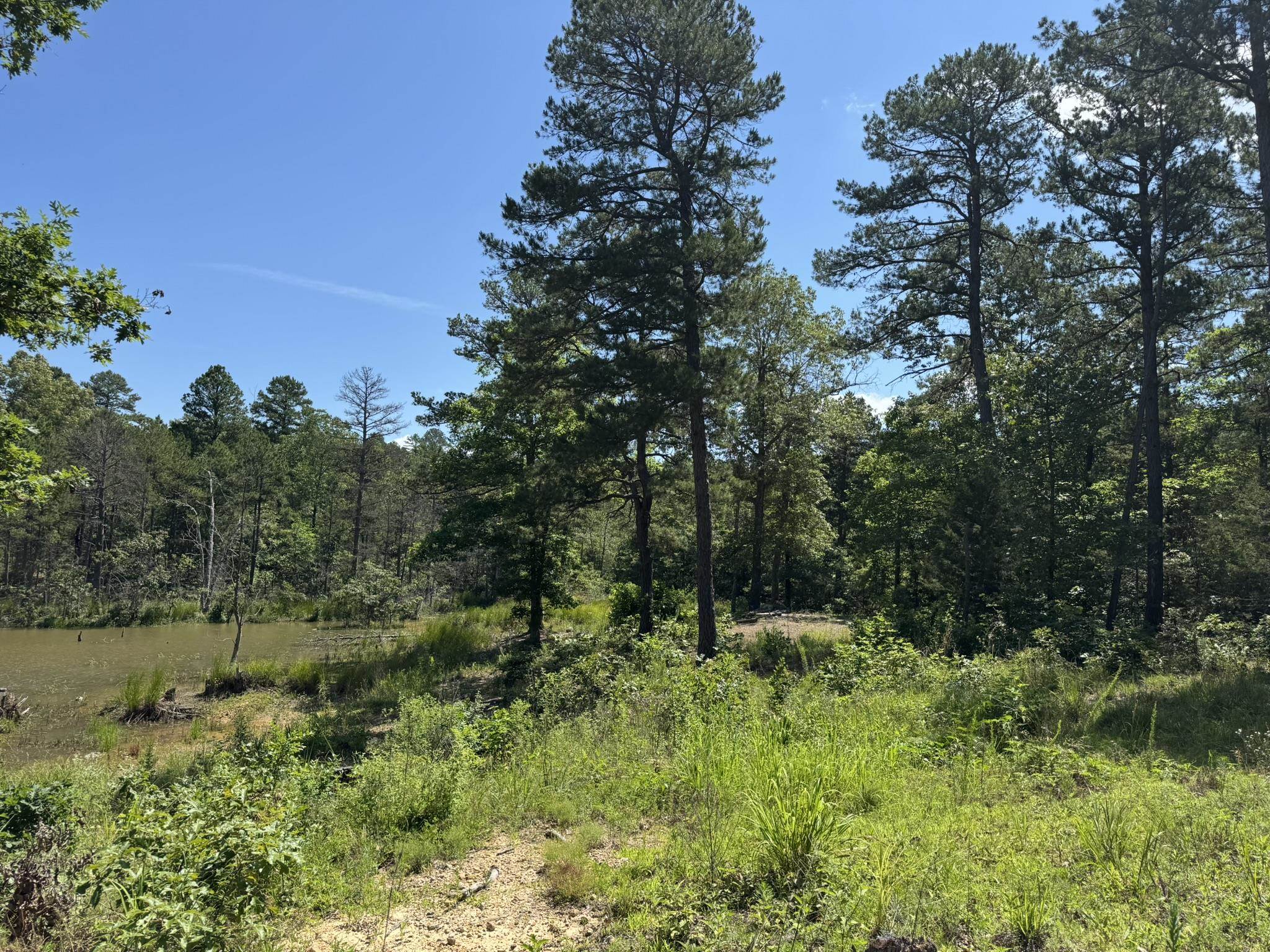 515 Foster  Violet Hill, AR