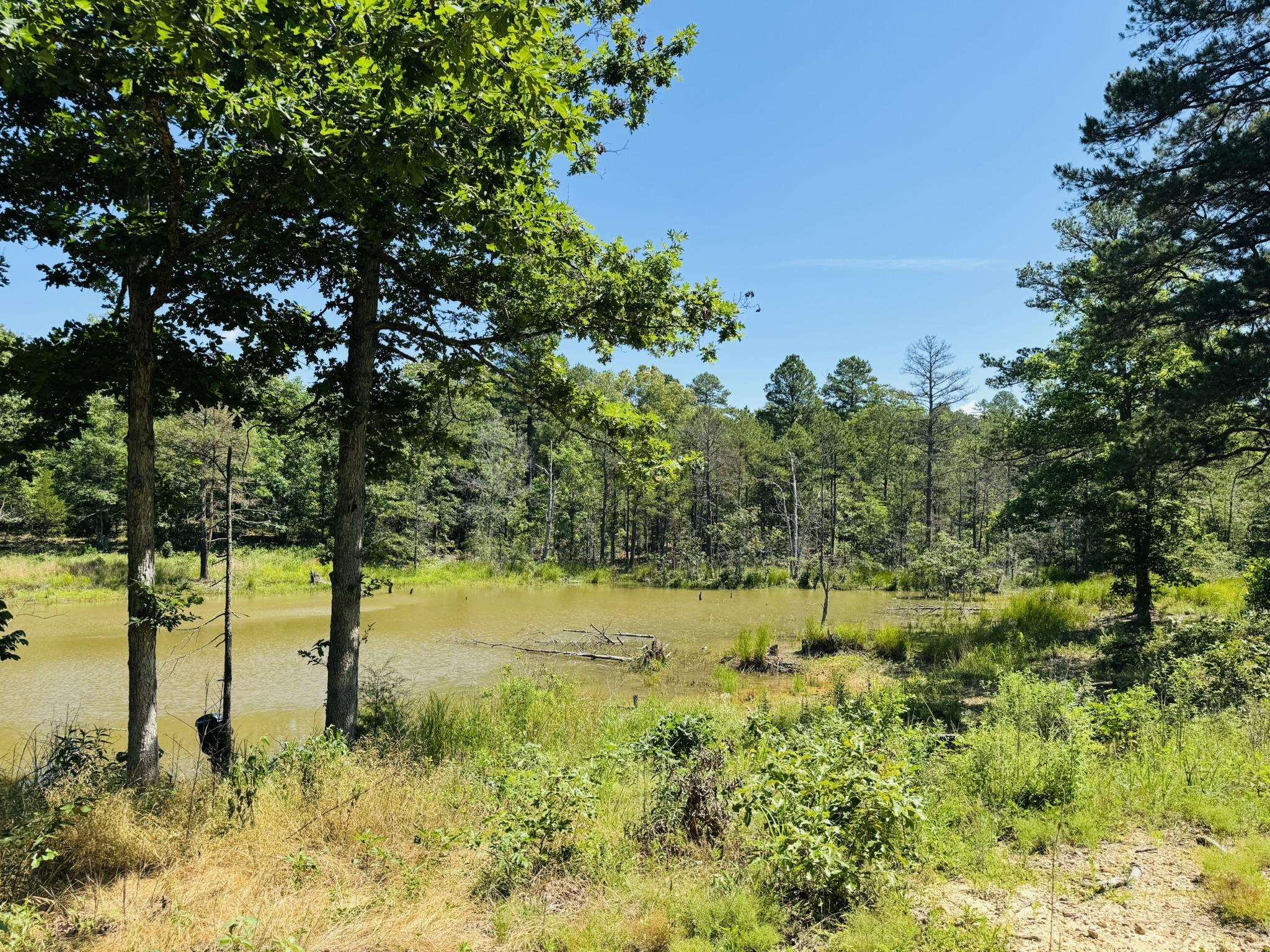 515 Foster  Violet Hill, AR
