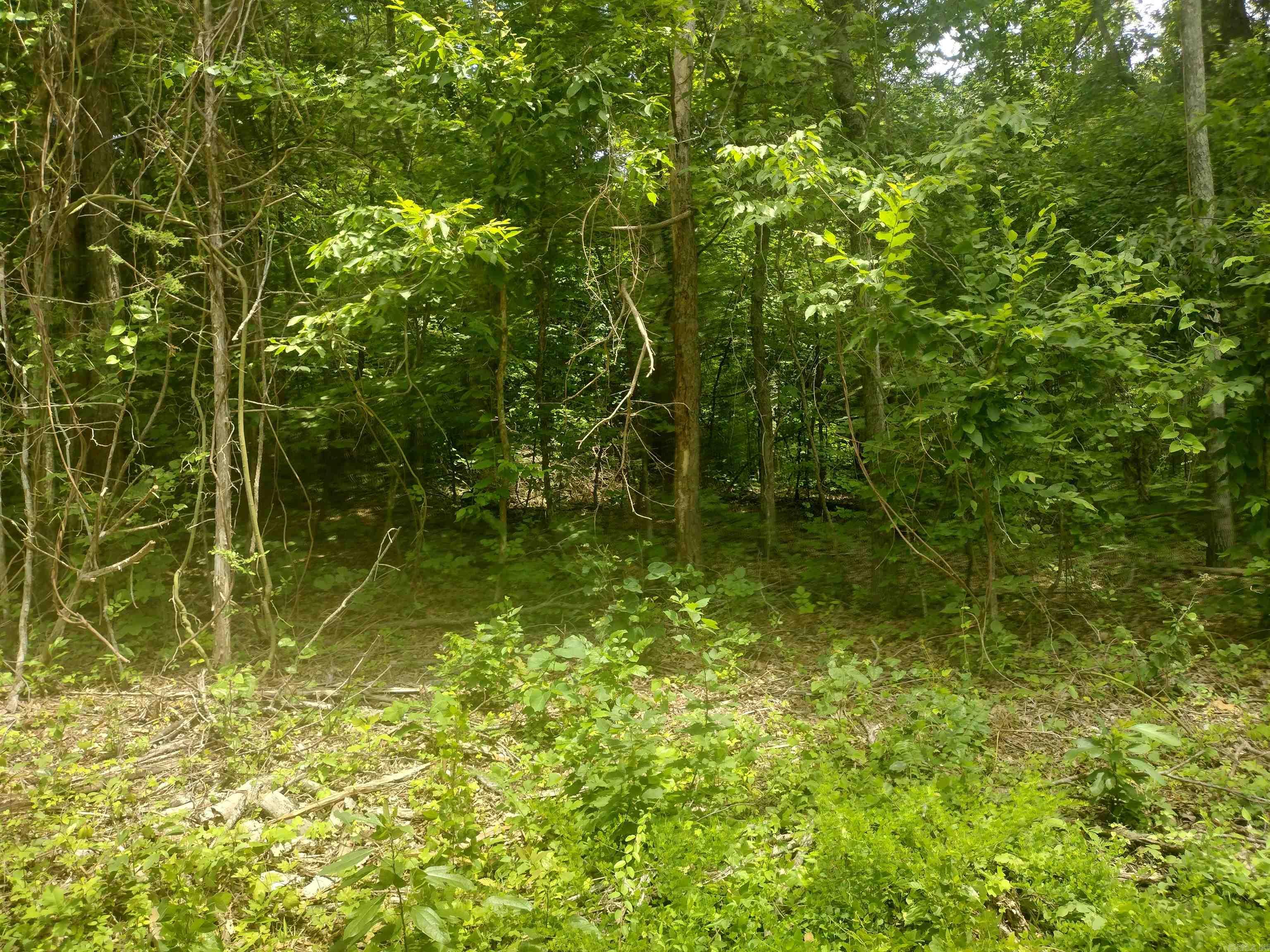 0 Mcitire LN  Mountain View, AR