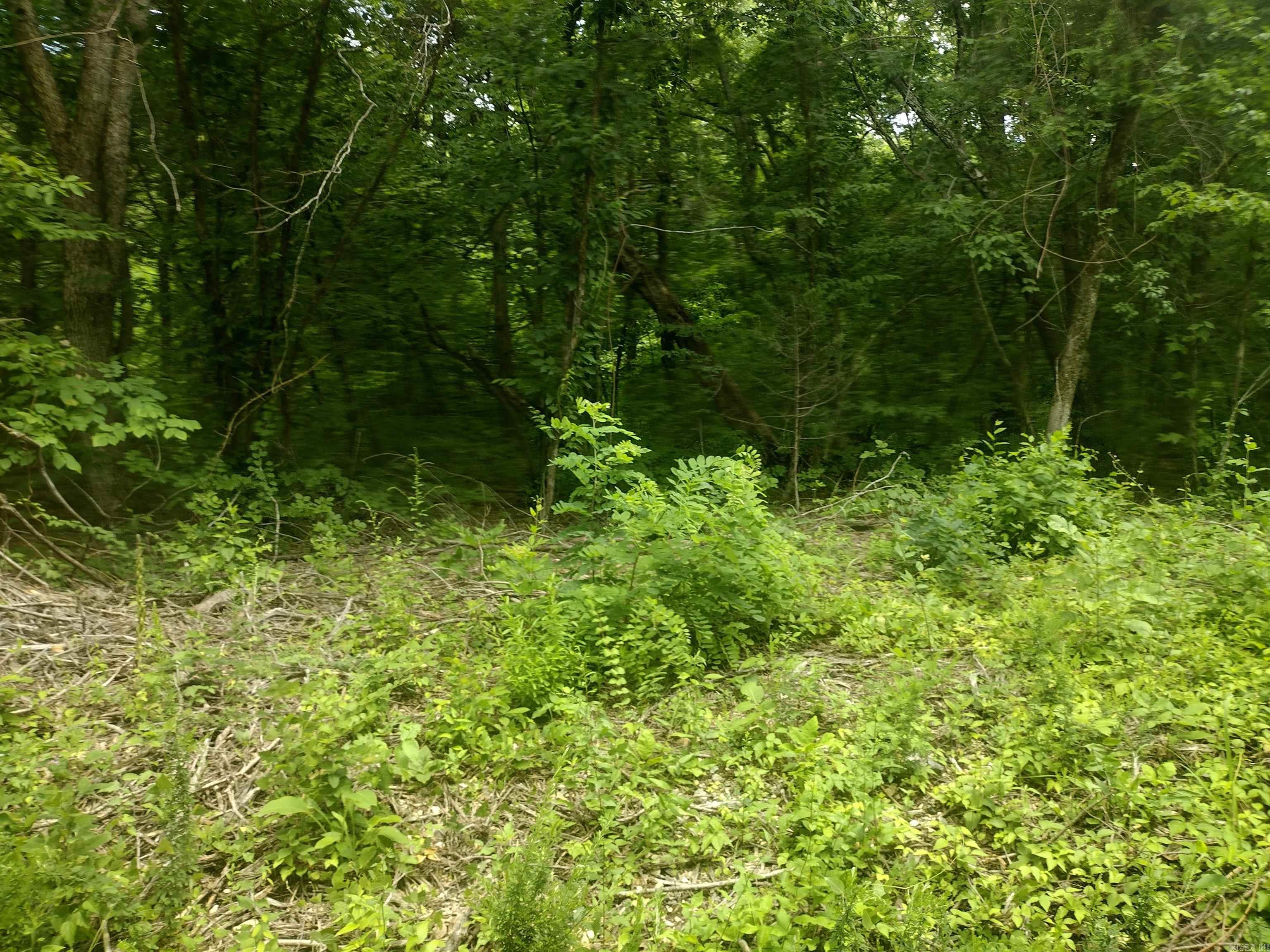 0 Mcitire LN  Mountain View, AR