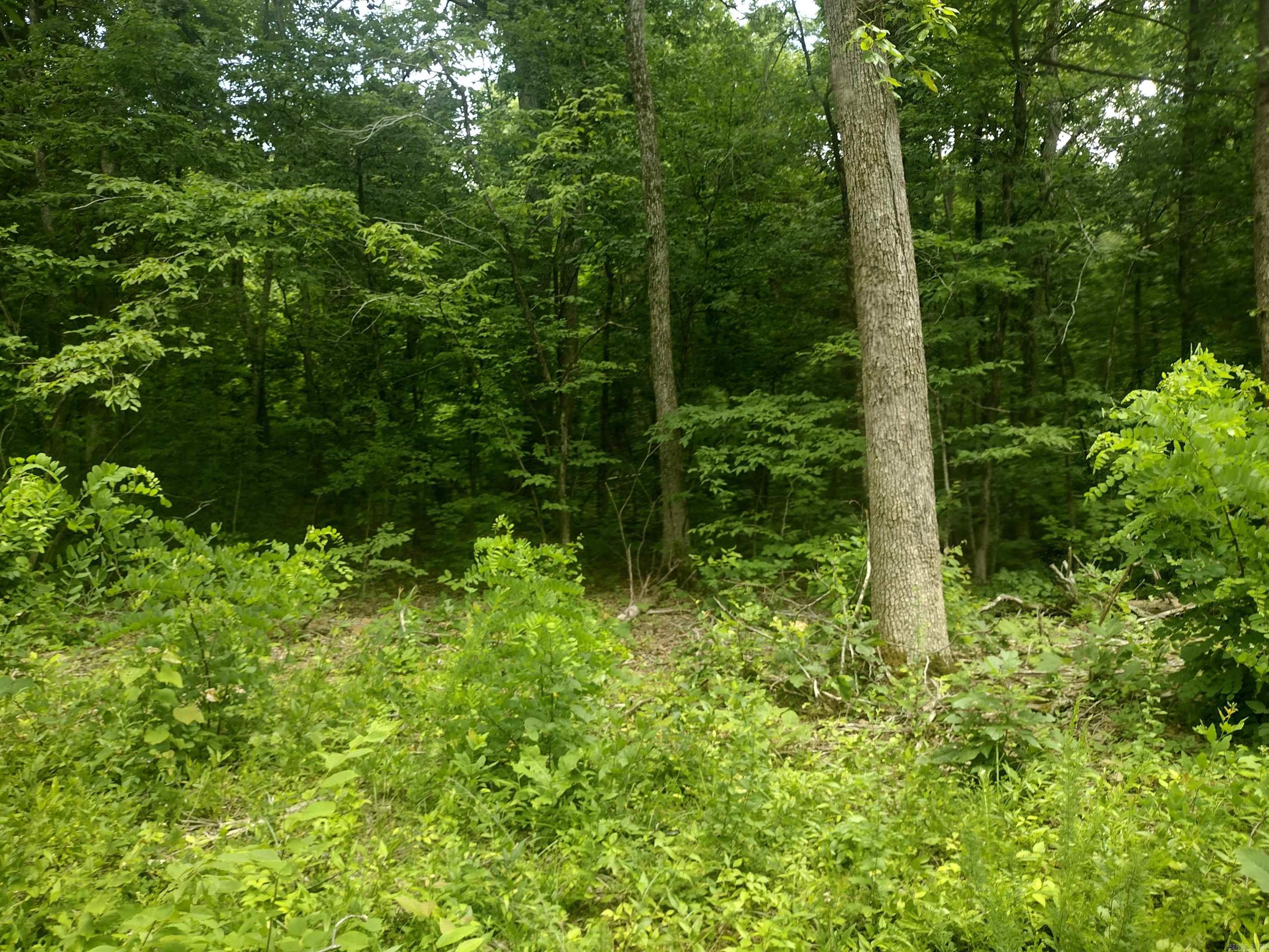 0 Mcitire LN  Mountain View, AR
