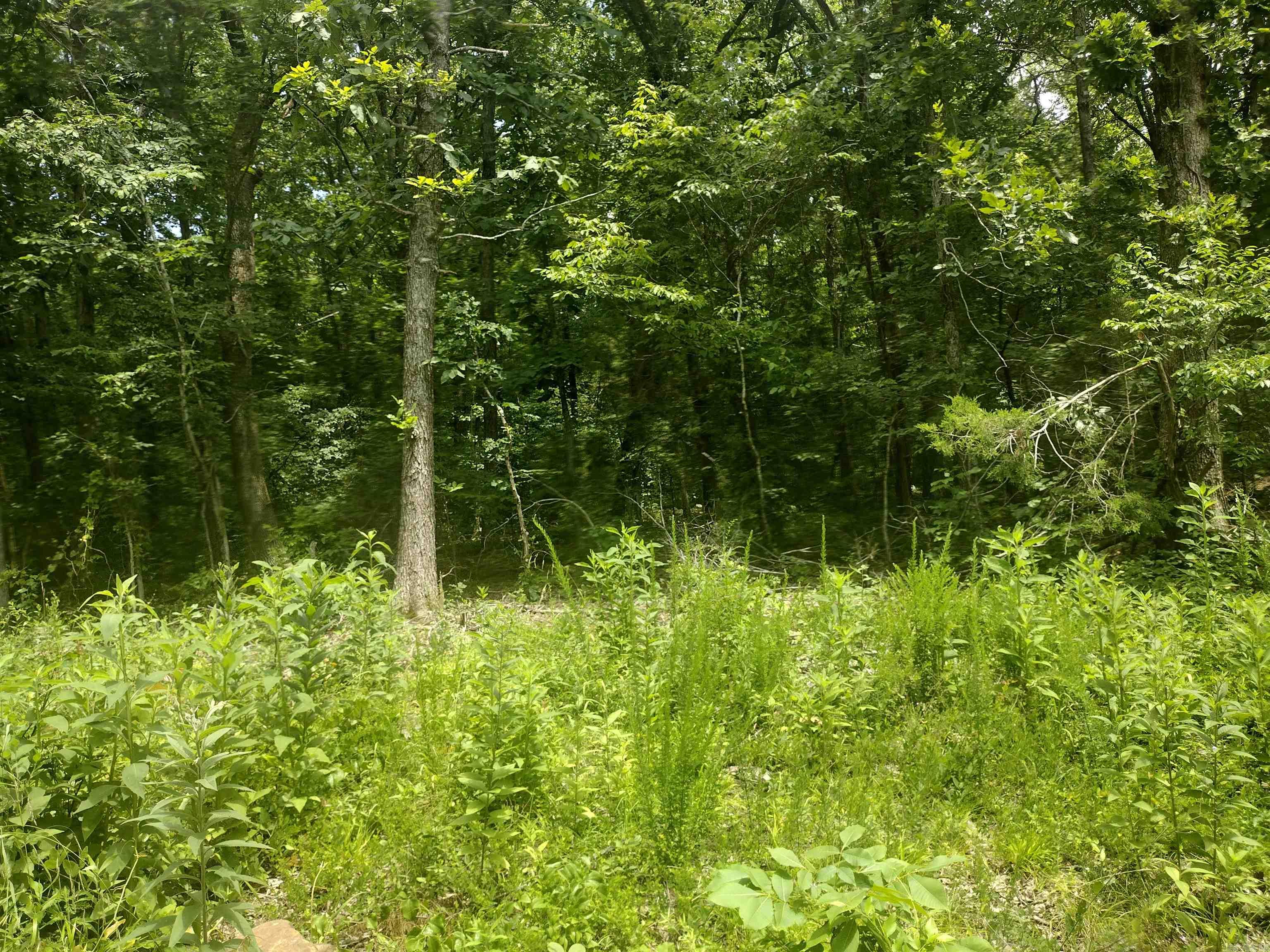 0 Mcitire LN  Mountain View, AR