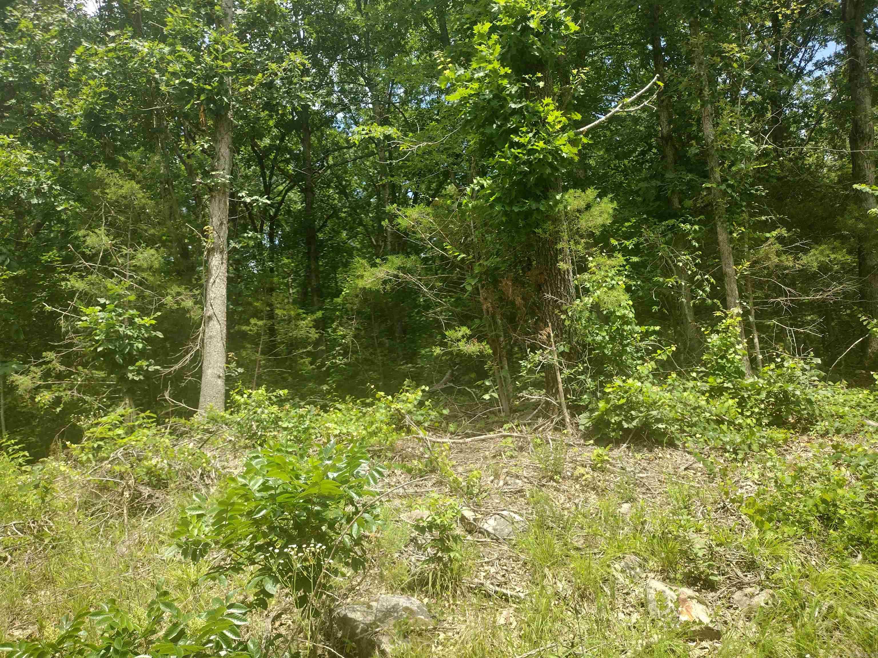 0 Mcitire LN  Mountain View, AR
