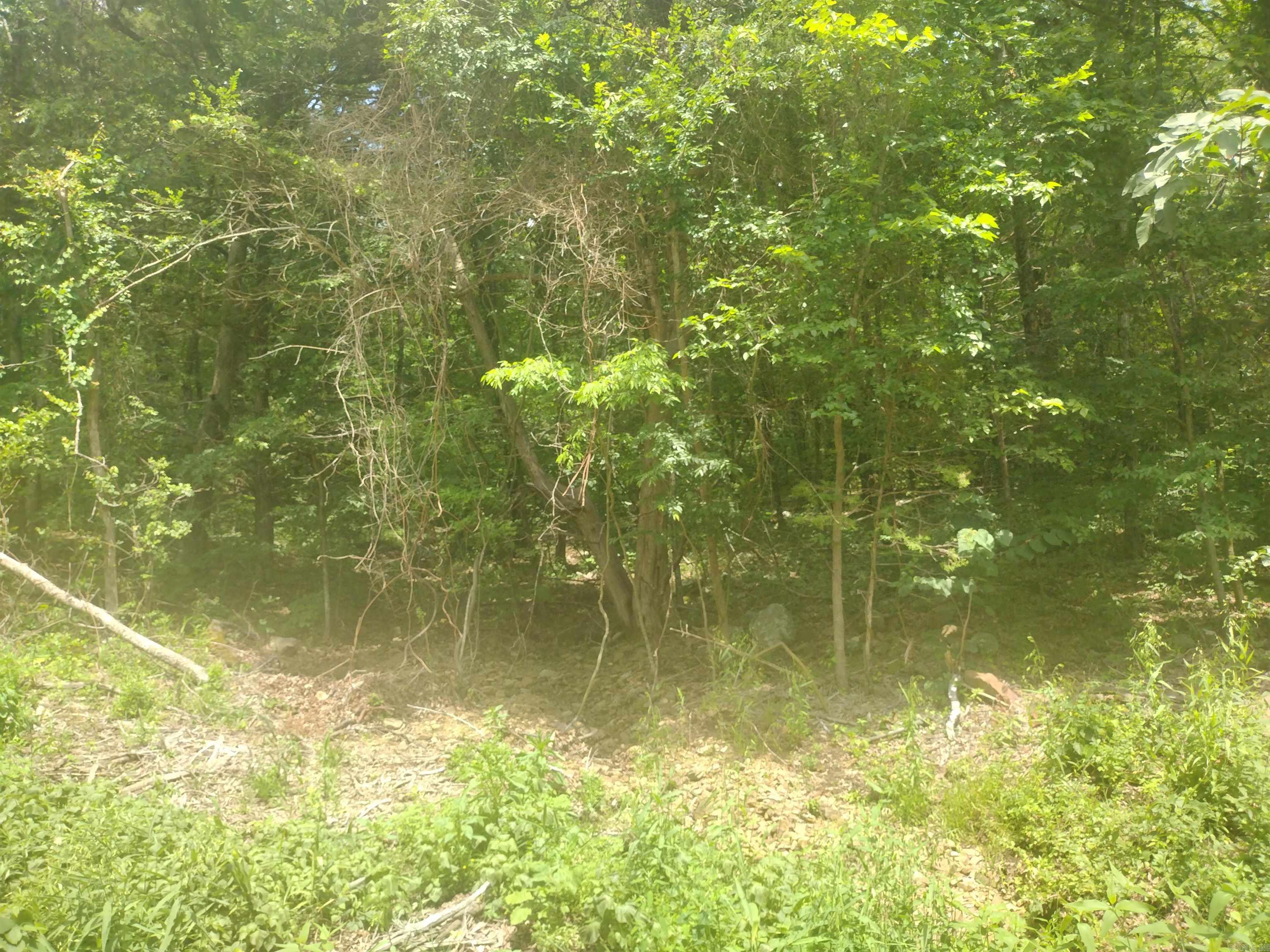 0 Mcitire LN  Mountain View, AR
