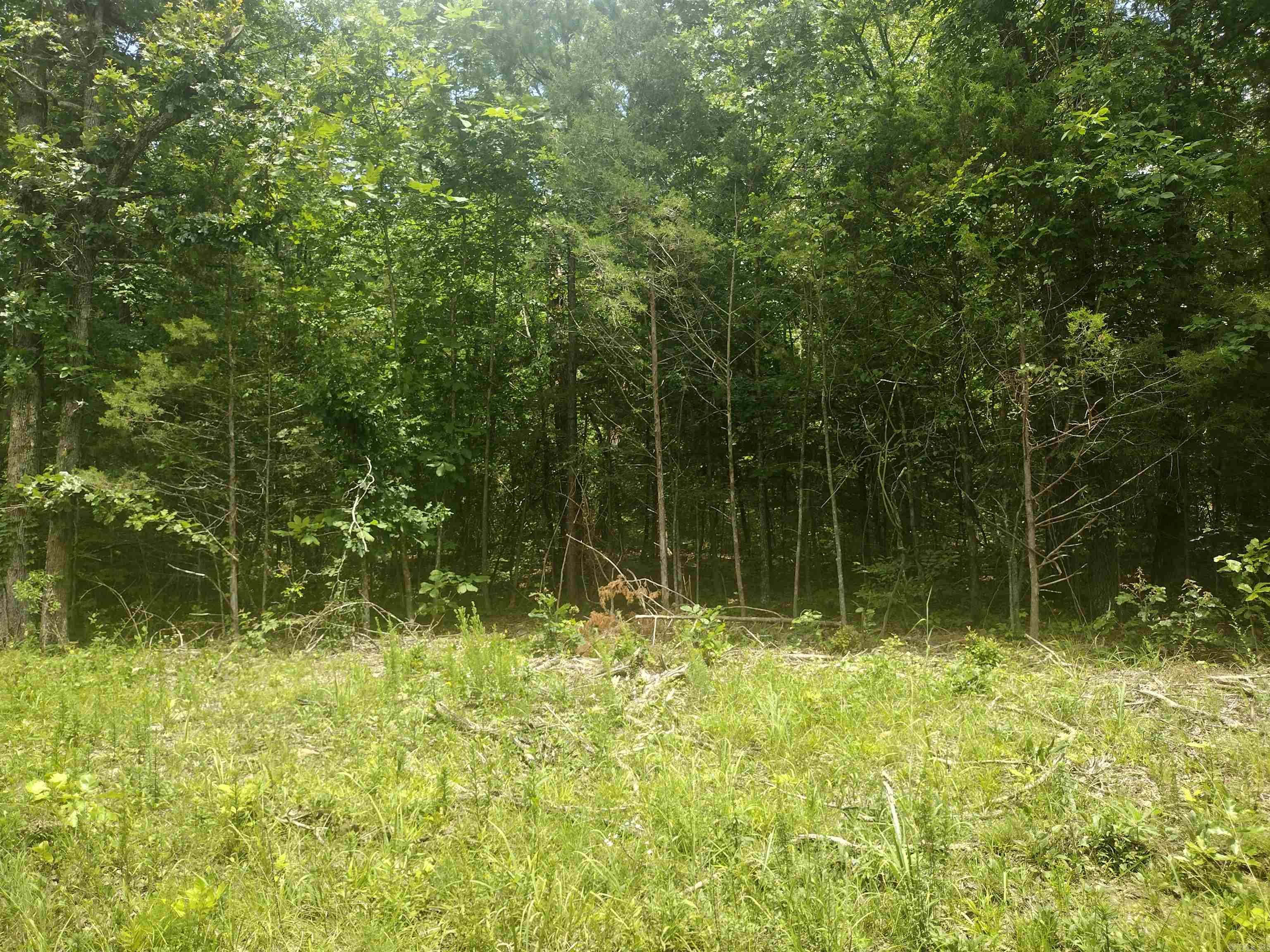 0 Mcitire LN  Mountain View, AR