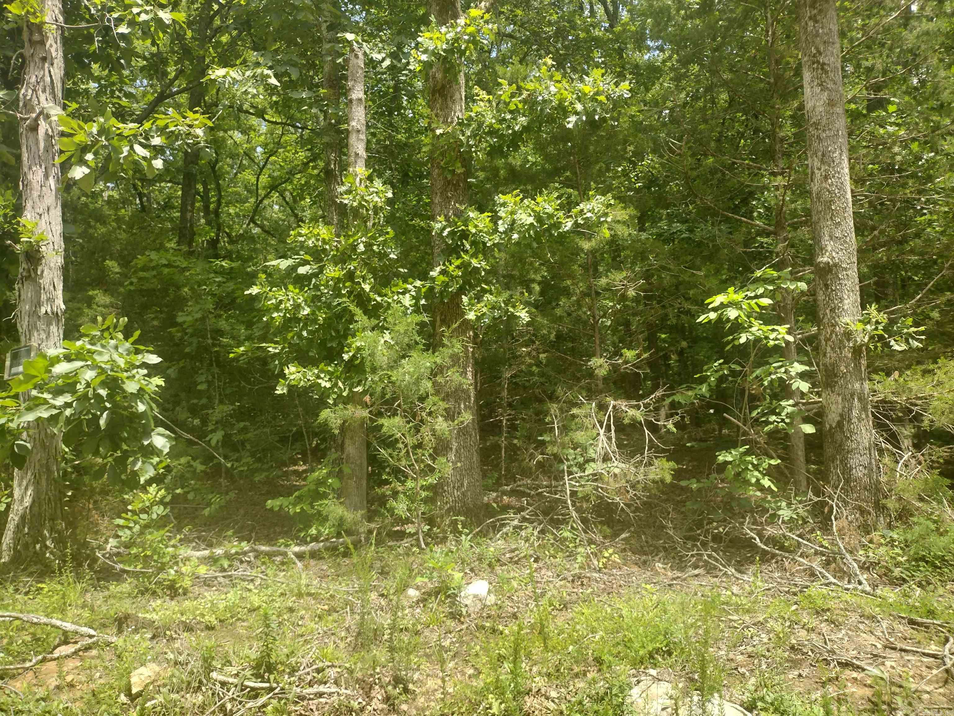 0 Mcitire LN  Mountain View, AR