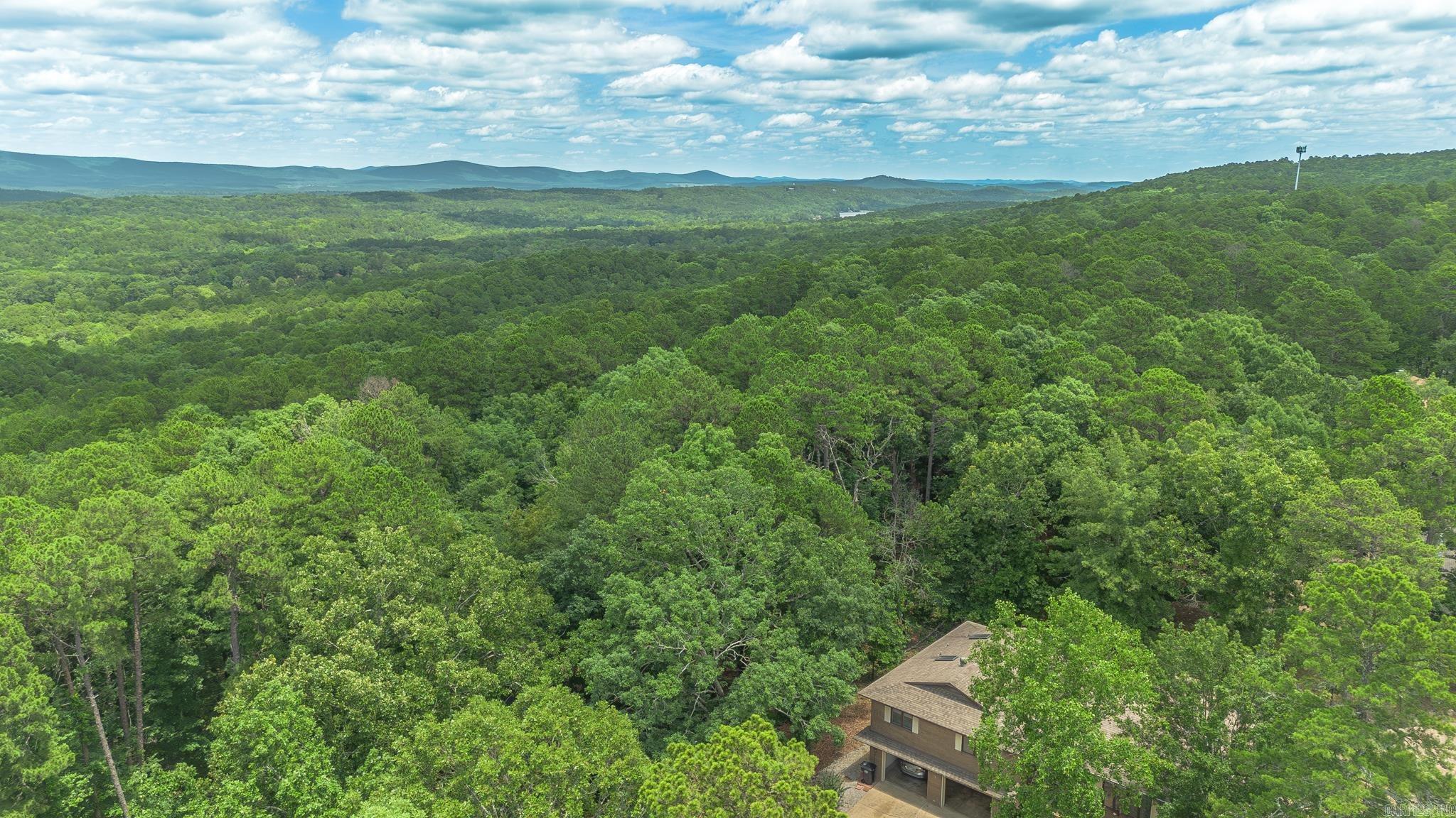 3 Las Navas  Hot Springs Village, AR