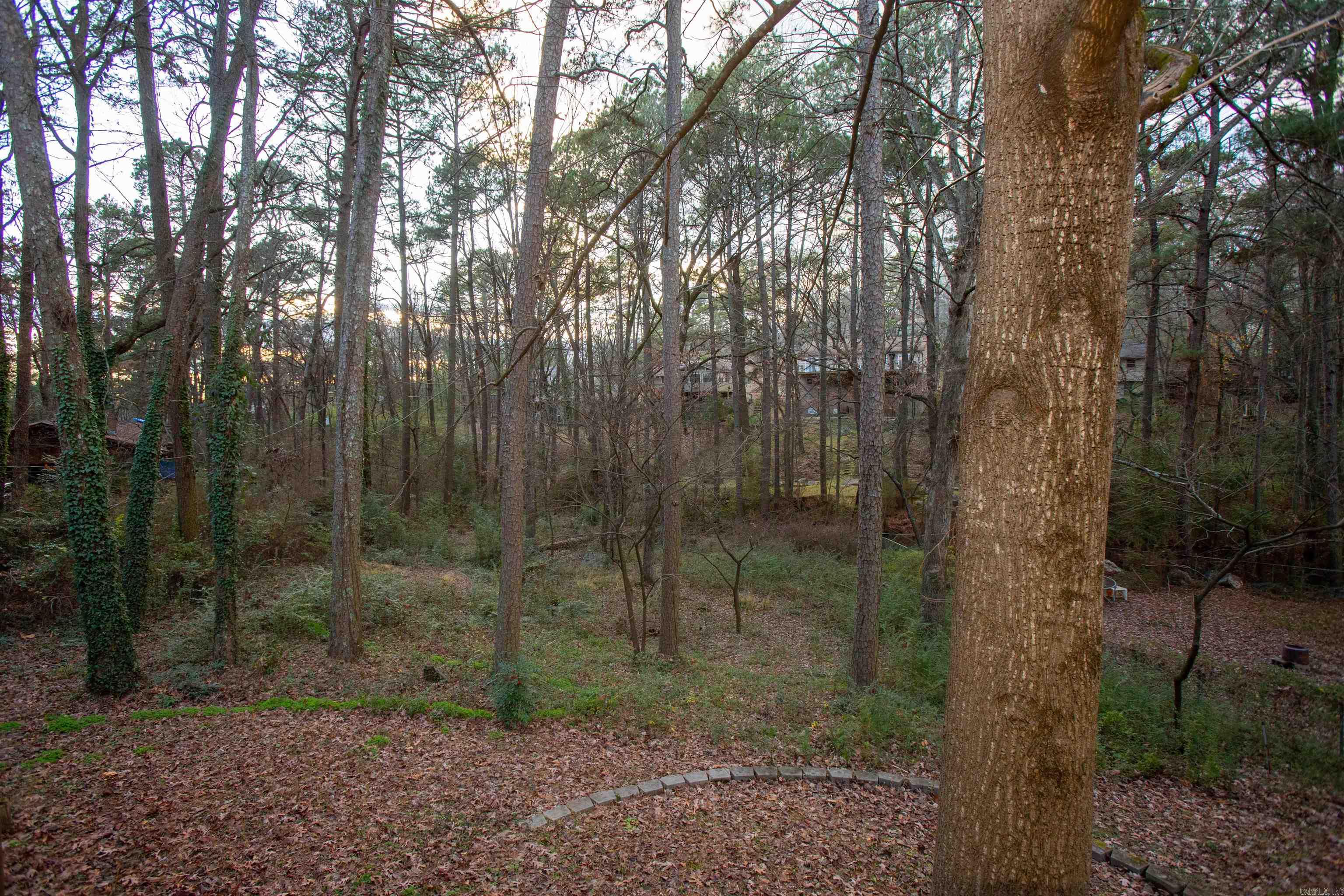1506 Alberta  Little Rock, AR