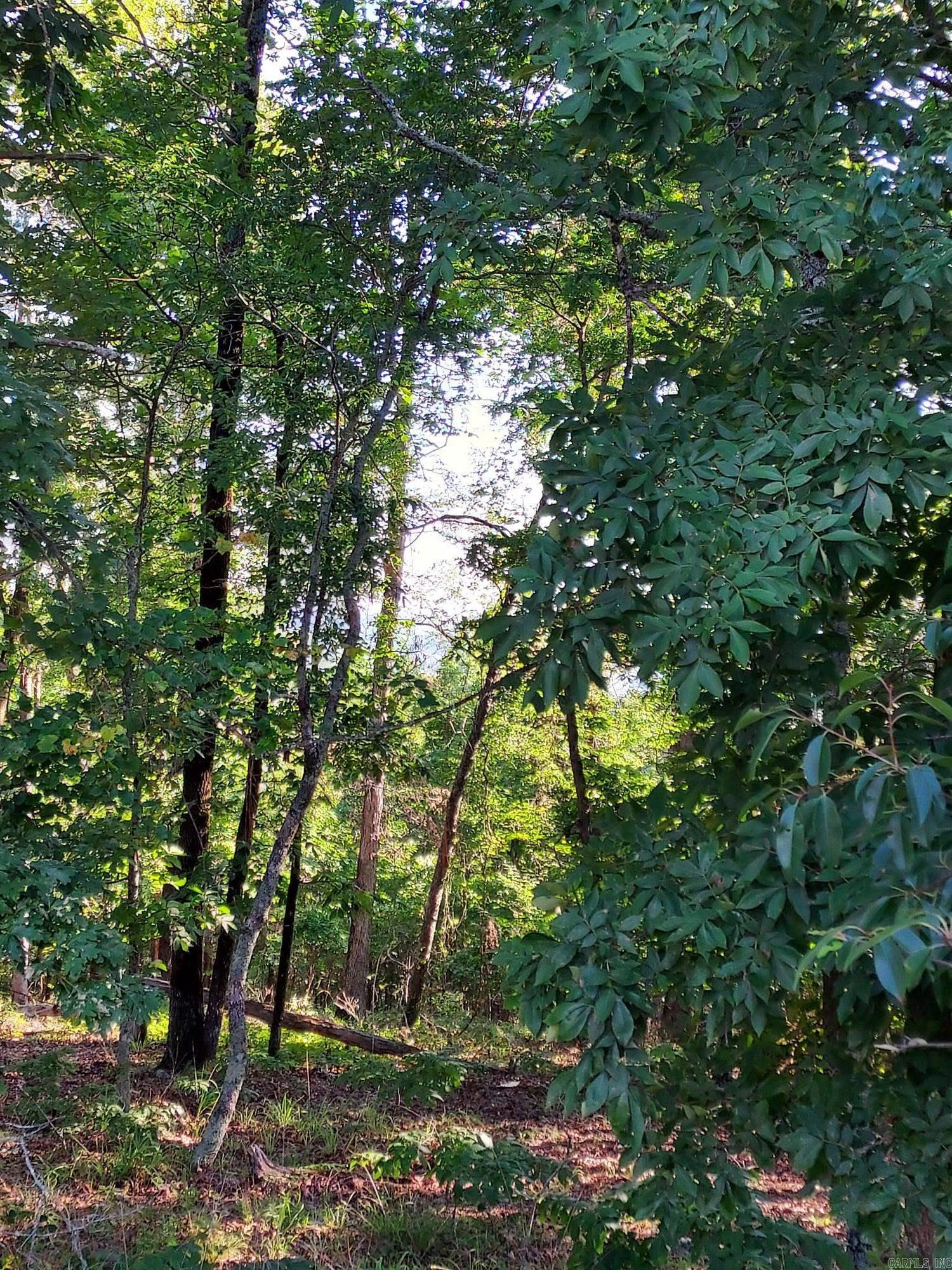 37 Pertusa Drive  Hot Springs Village, AR